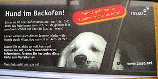 Kein Bild