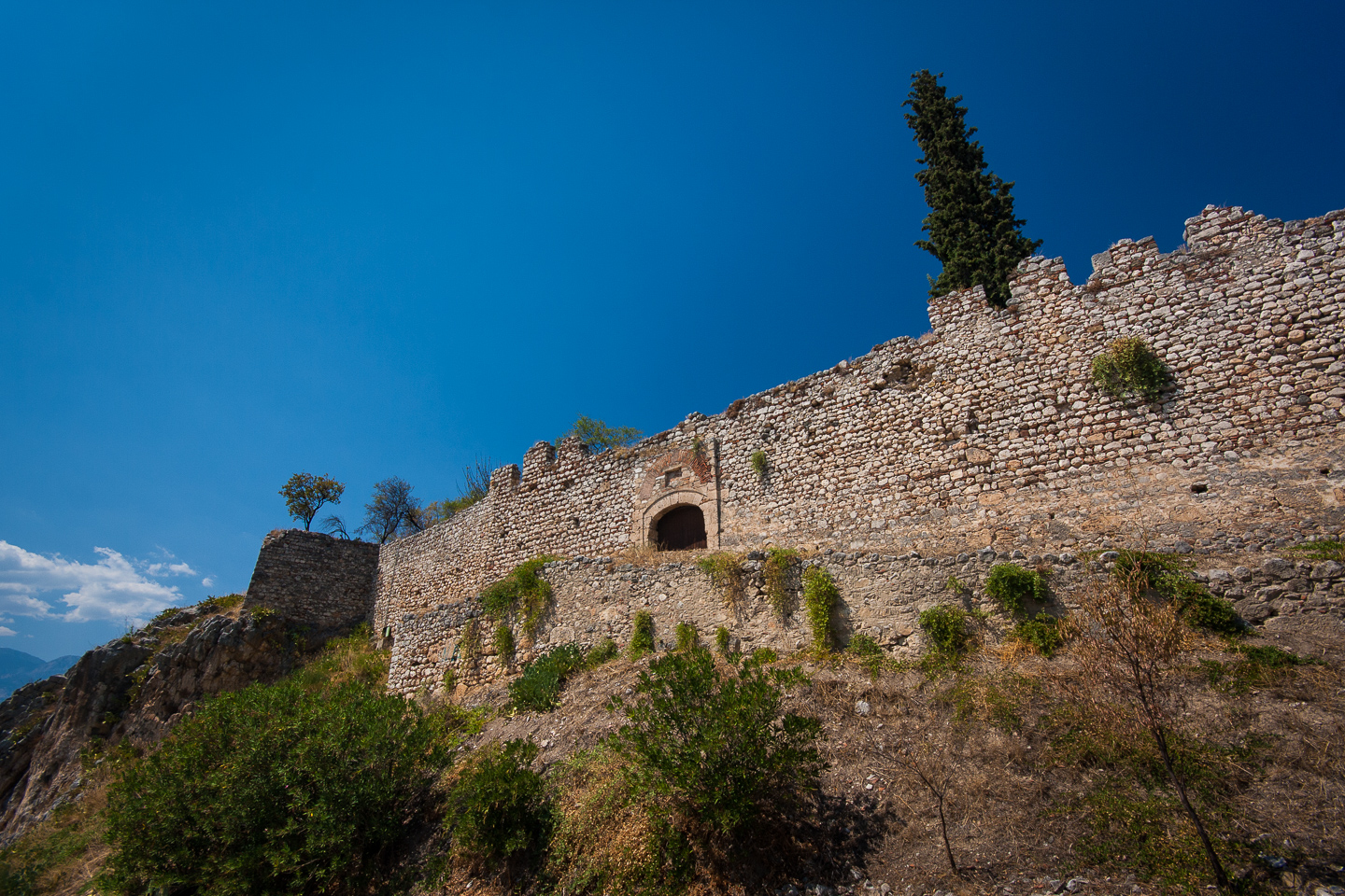 _MG_9014.jpg