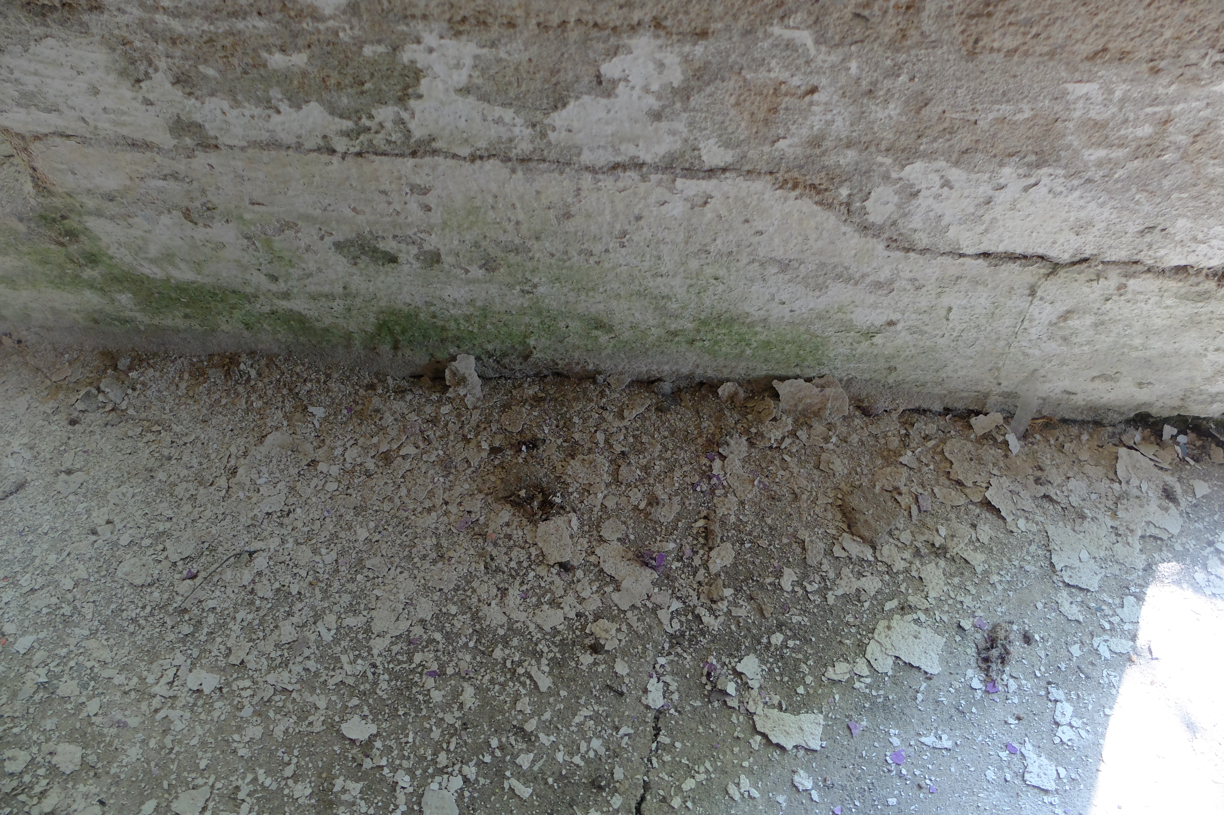 DSCF2525.JPG