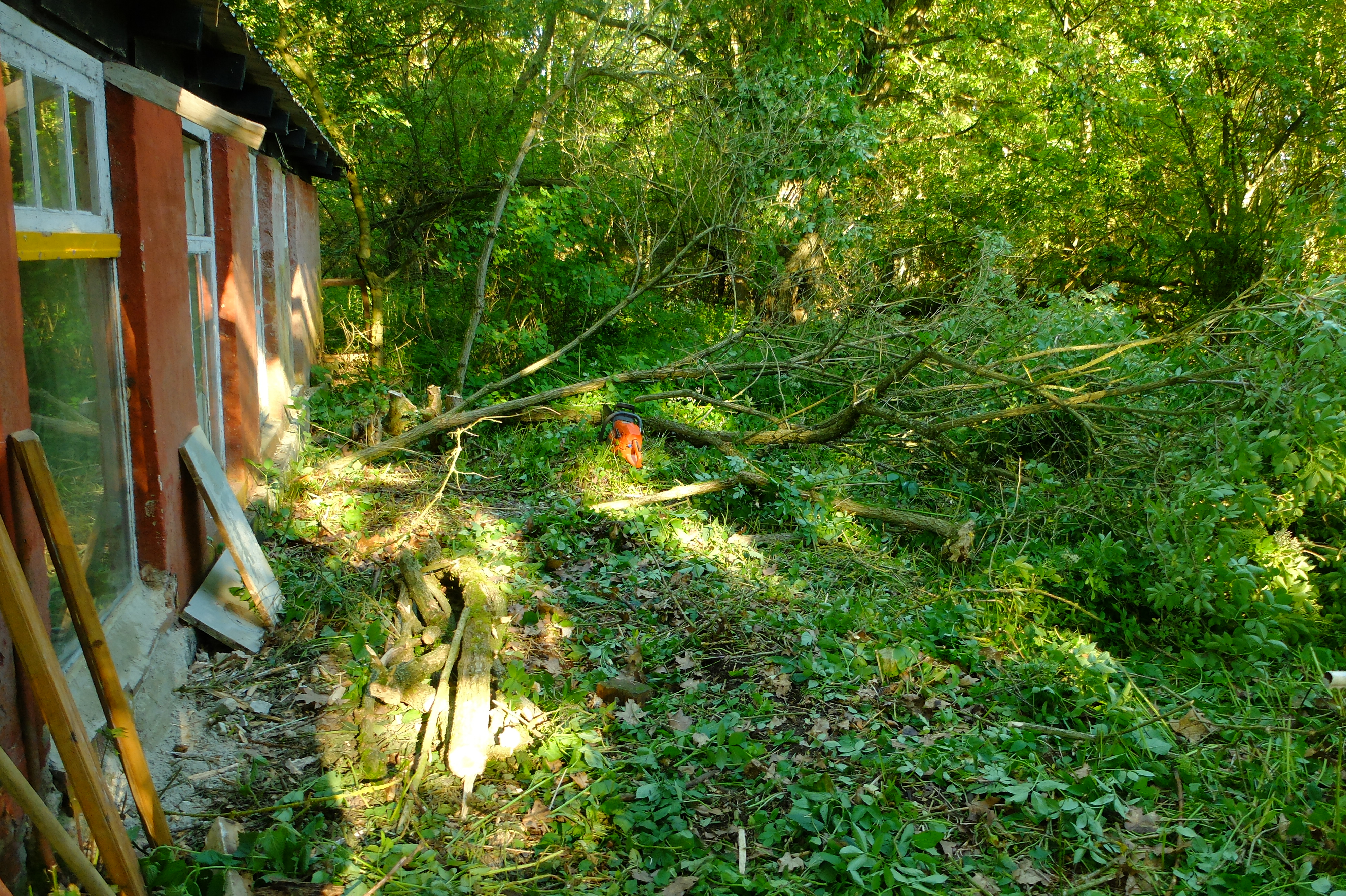 DSCF2645.JPG