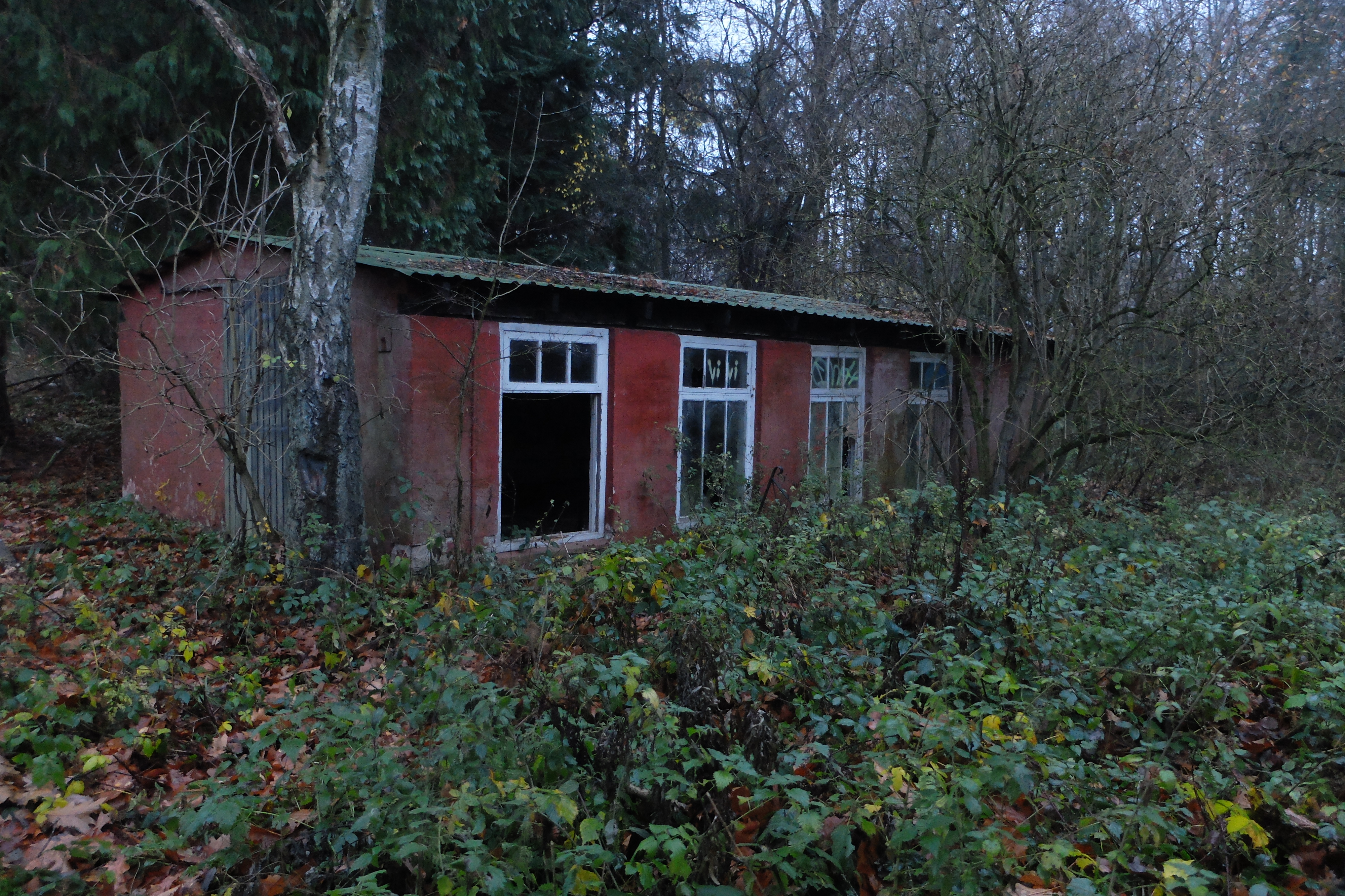 DSCF1525.JPG