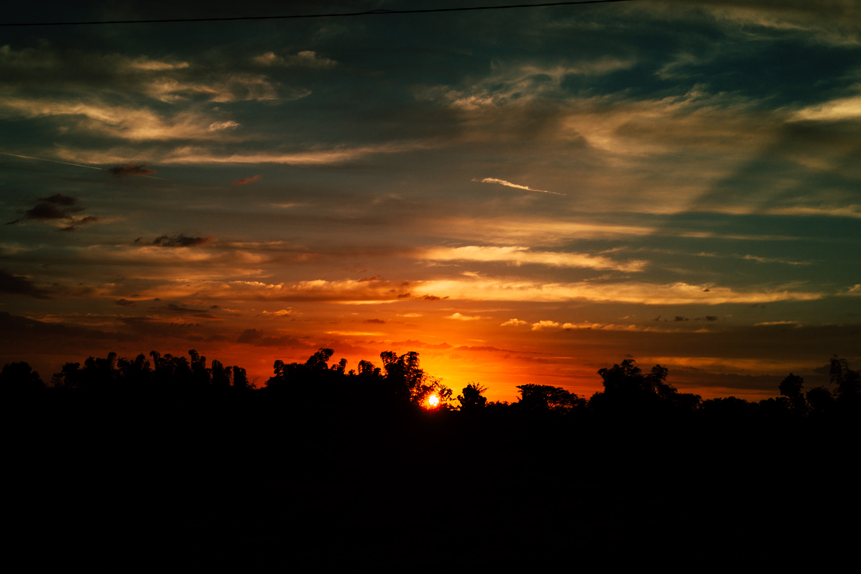 DSC0015512.jpg