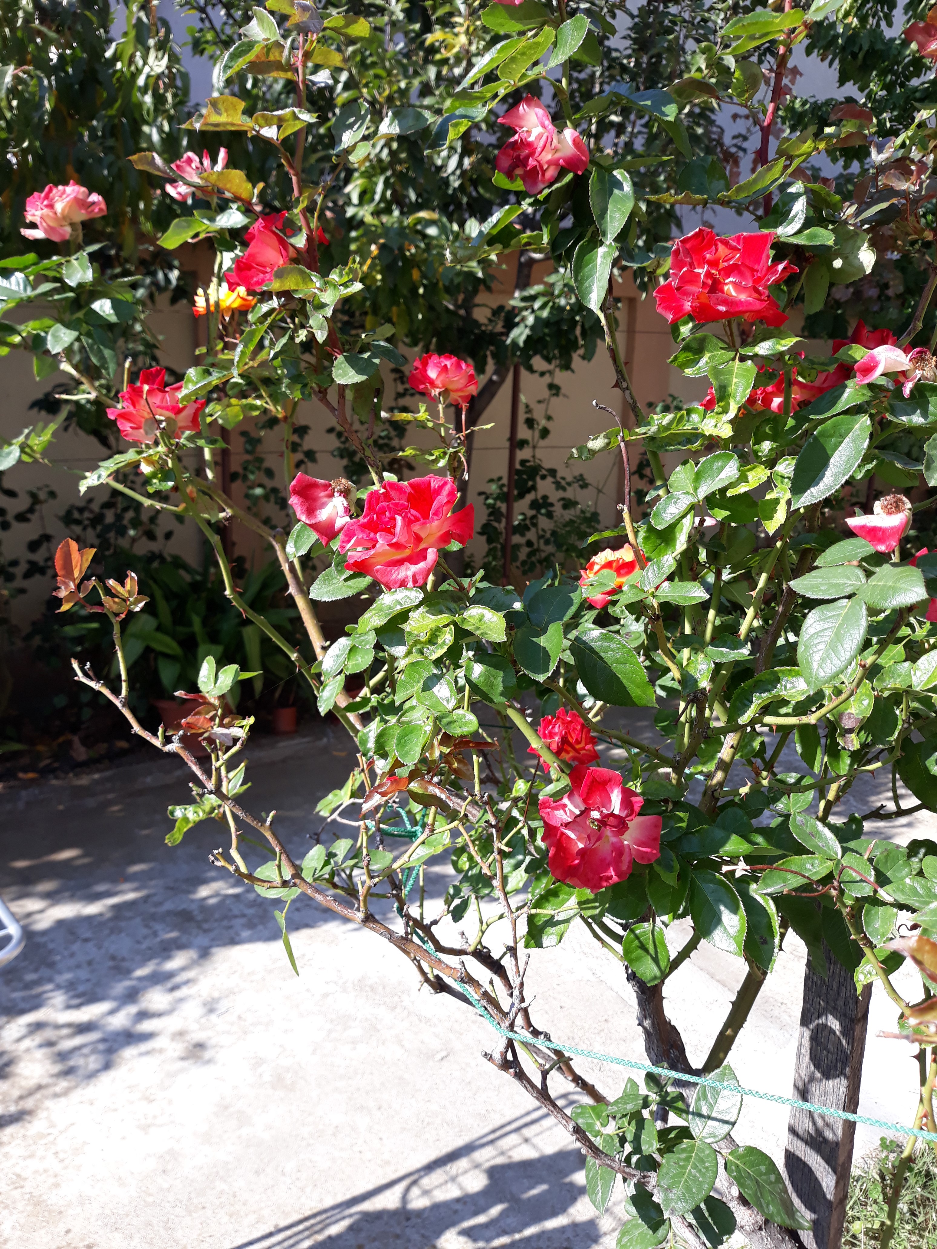 20191015_122556.jpg