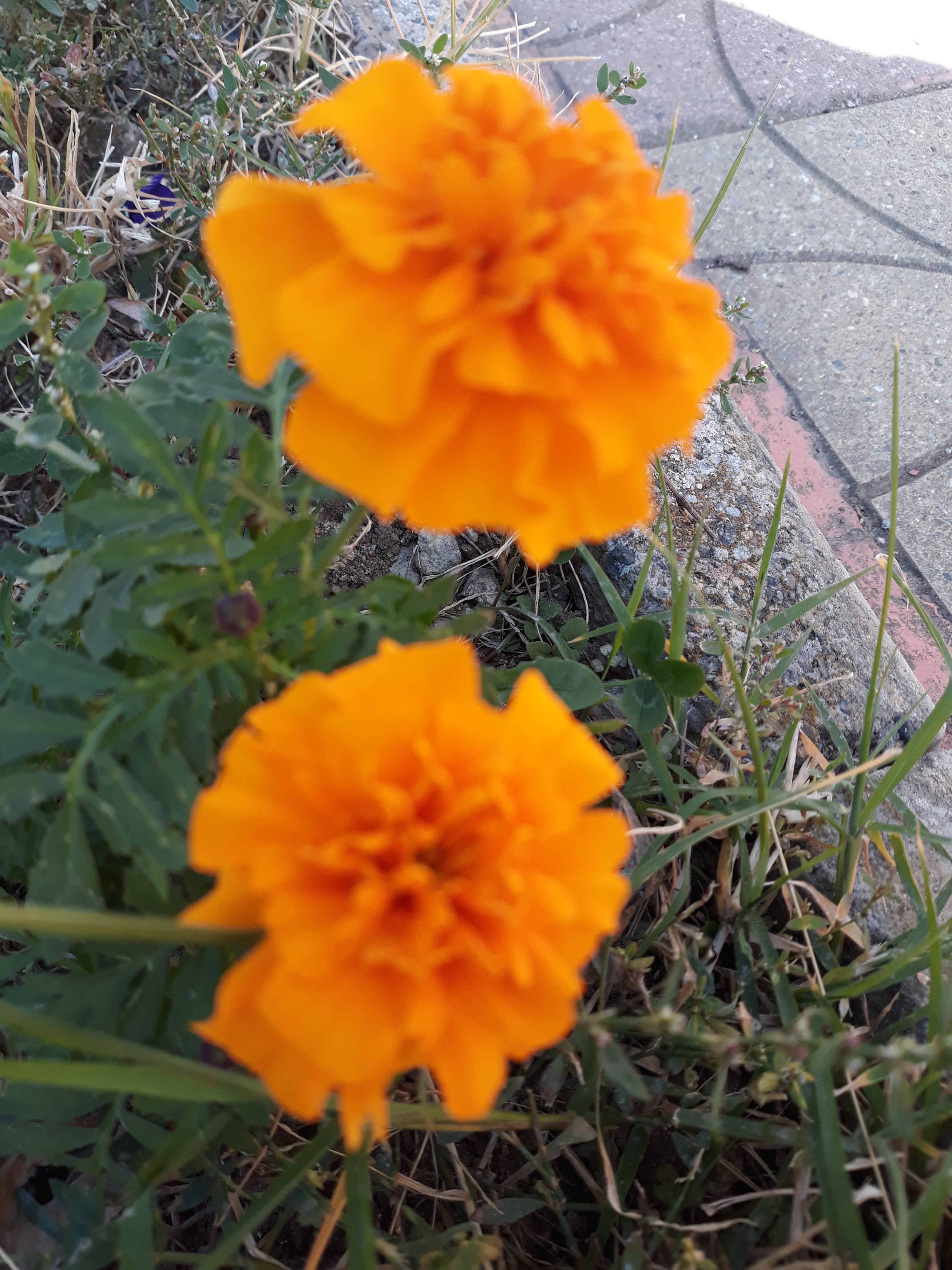 20191015_122315.jpg