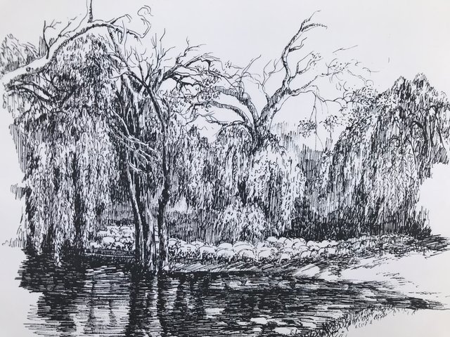 p8.jpg