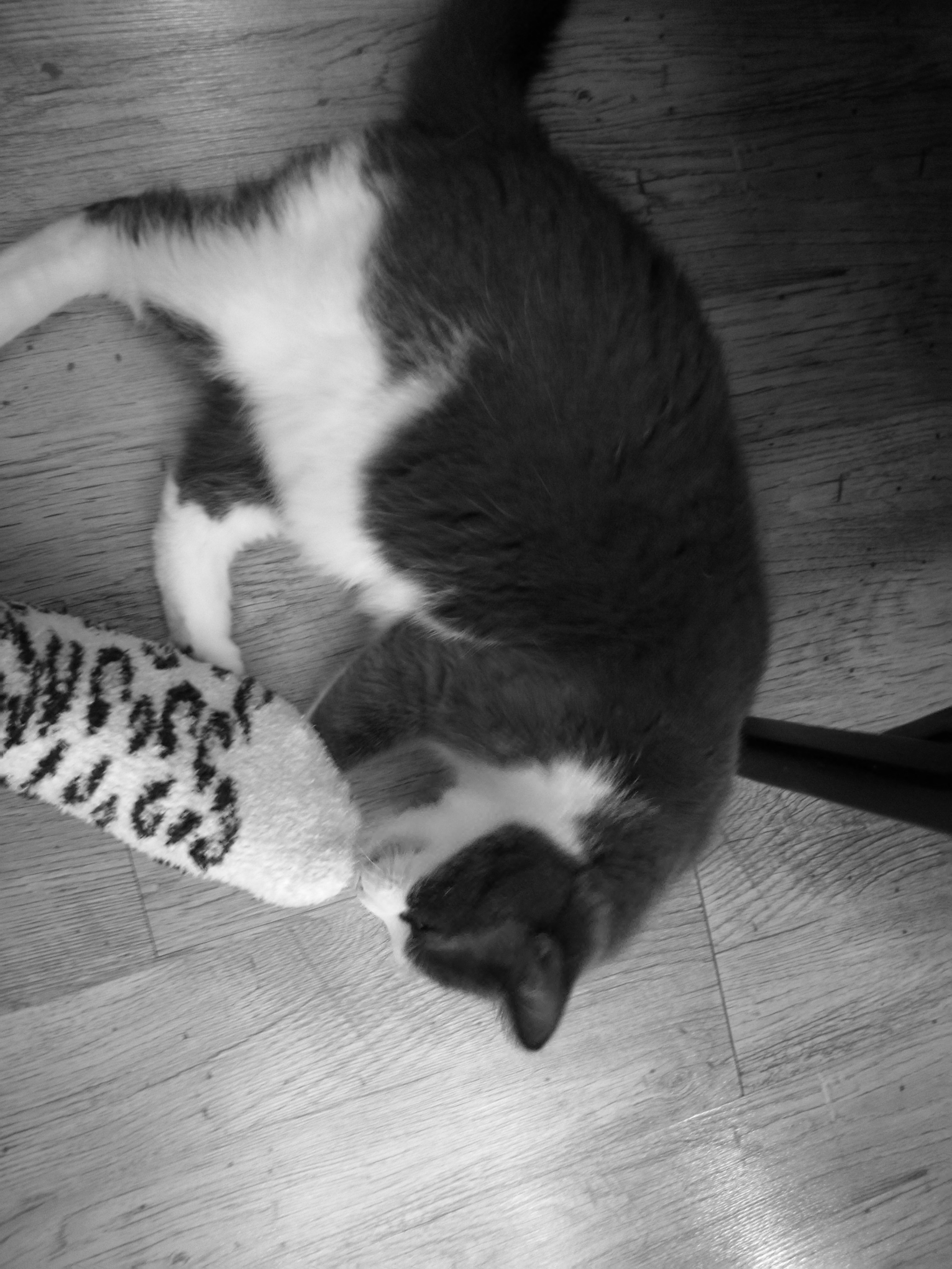 IMG_20200205_162101.jpg