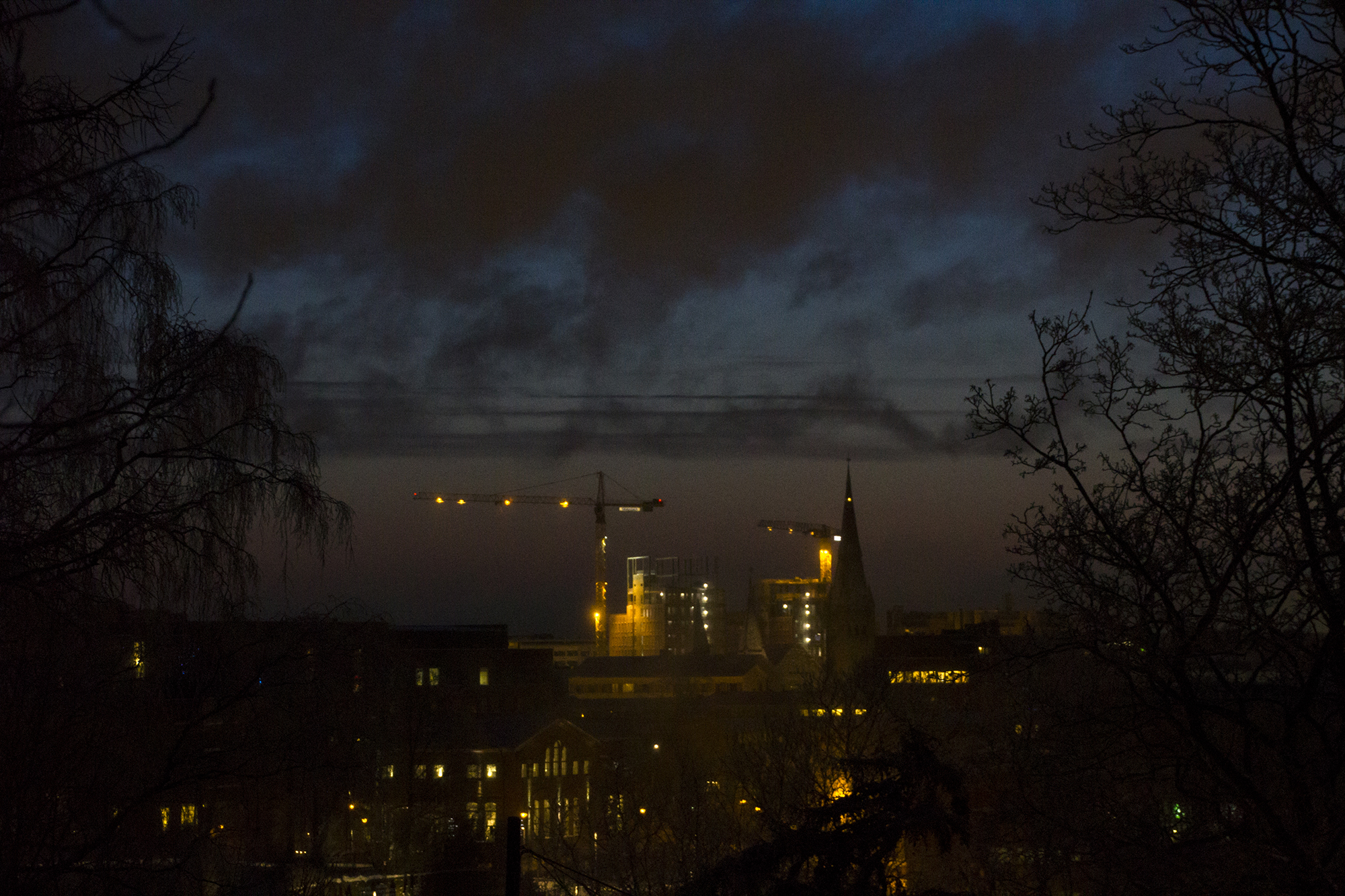 IMG_3899_1.jpg