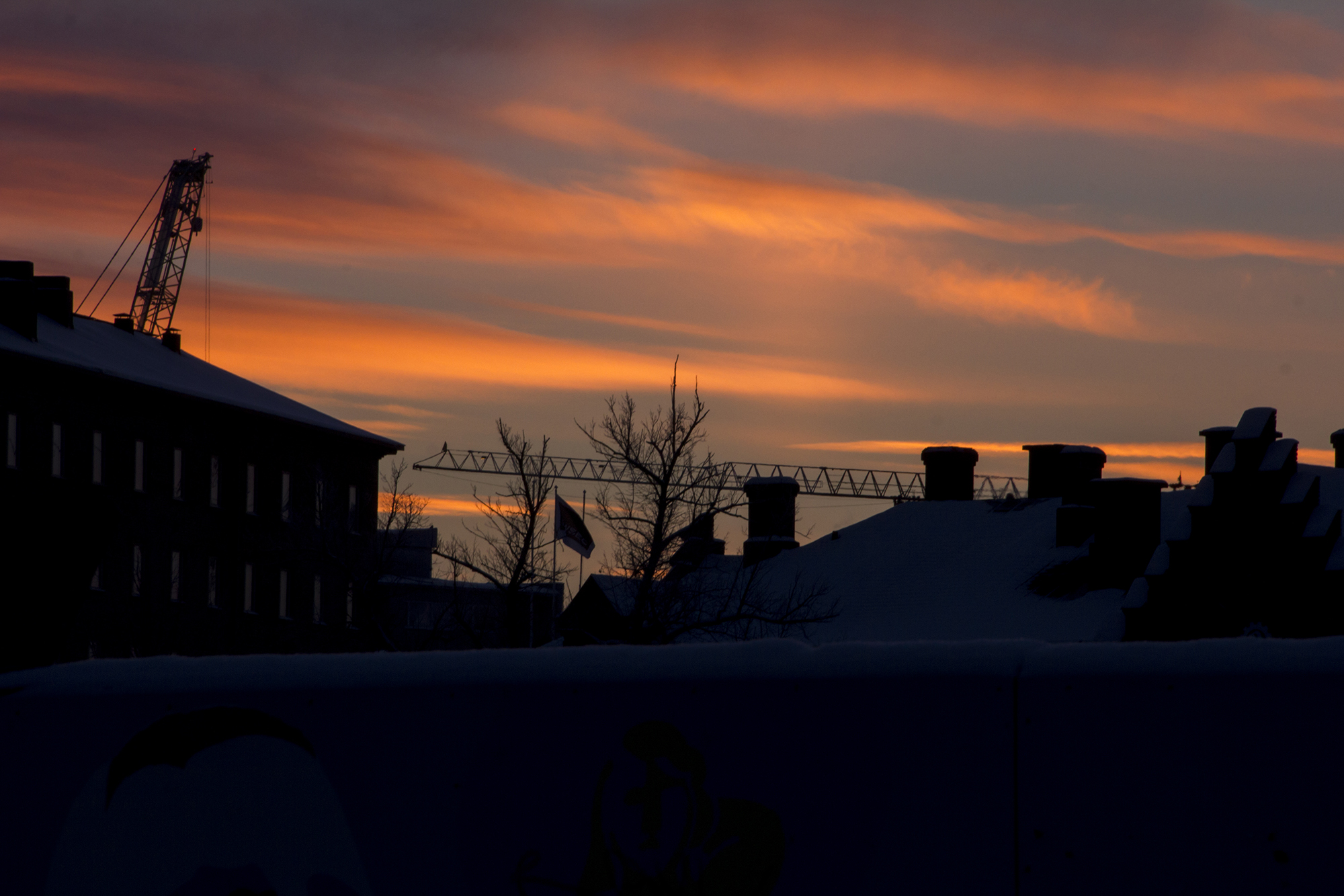 IMG_4093_1.jpg