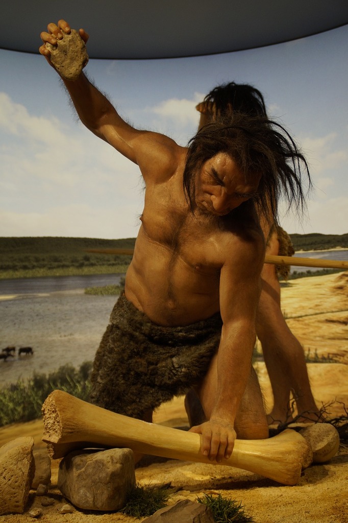 Ancestor stone age caveman, people..jpg