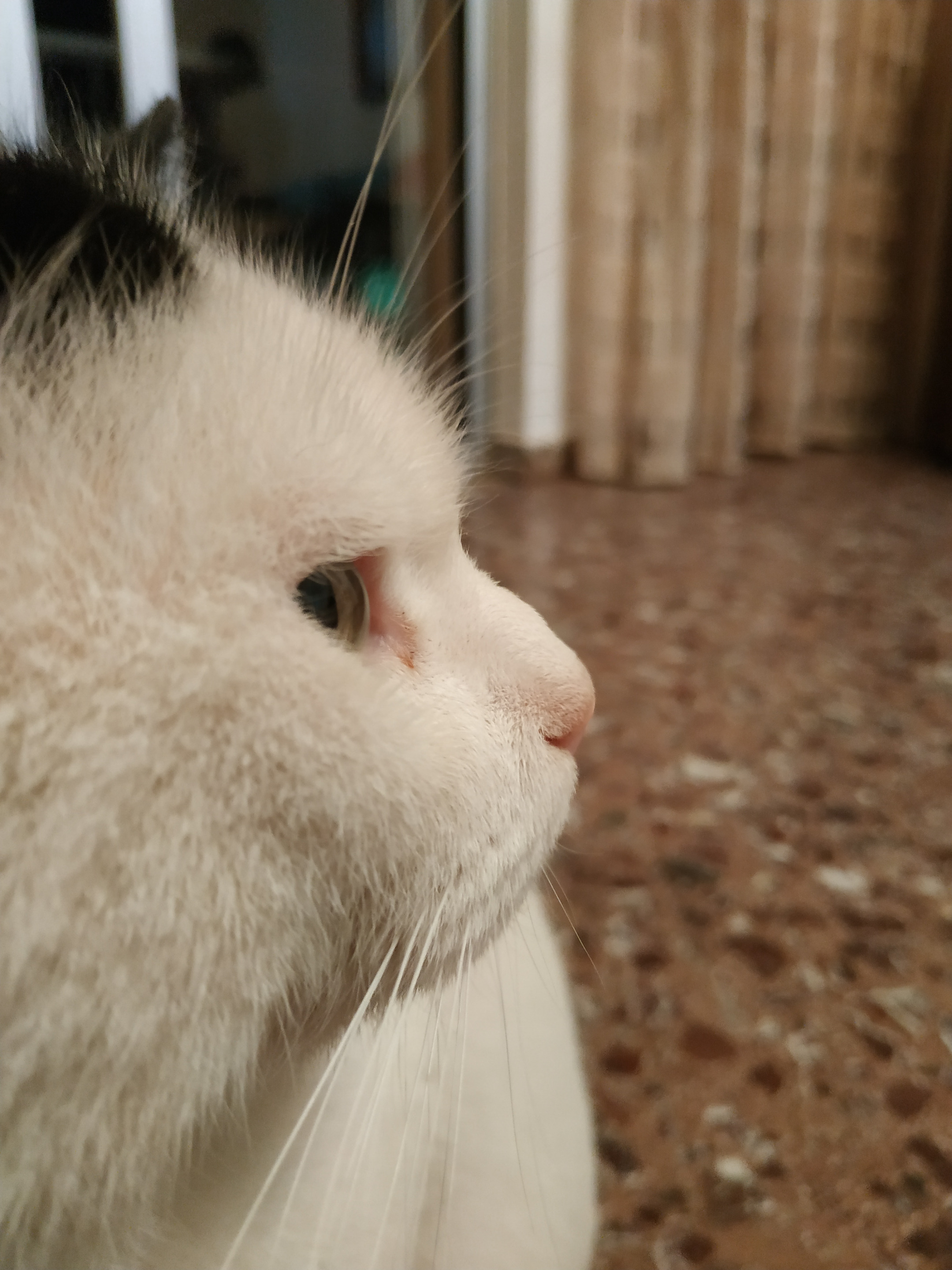 IMG_20201130_200236.jpg