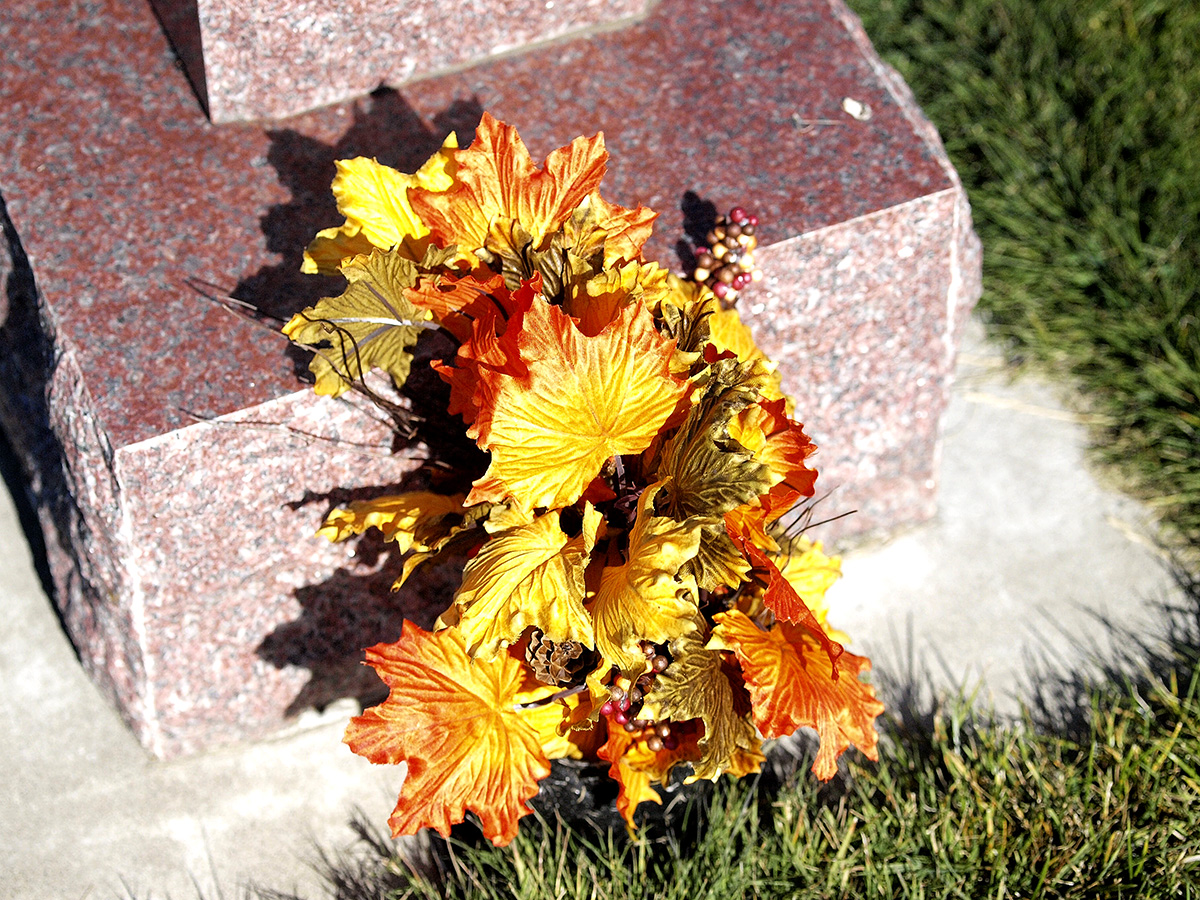 P1013691.jpg