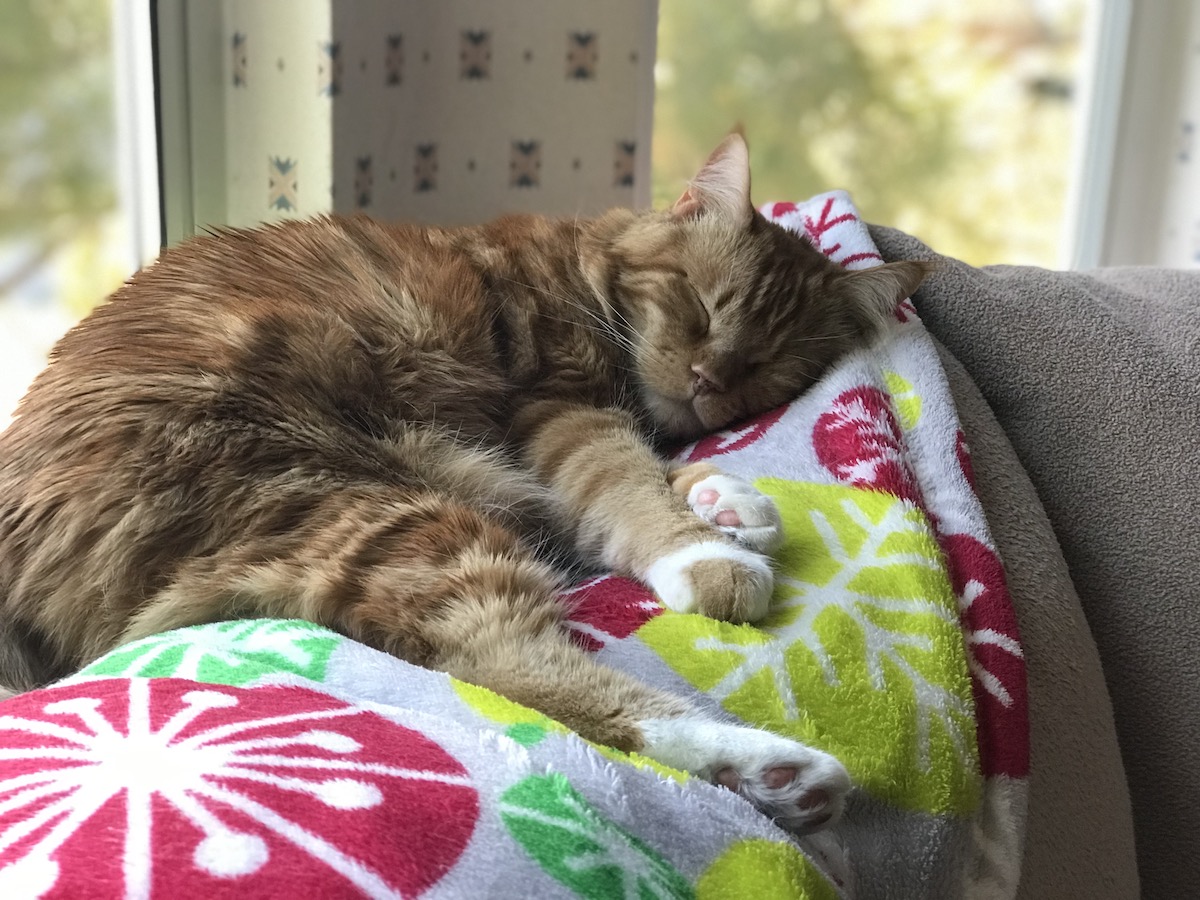 2blazechairblanket.jpg