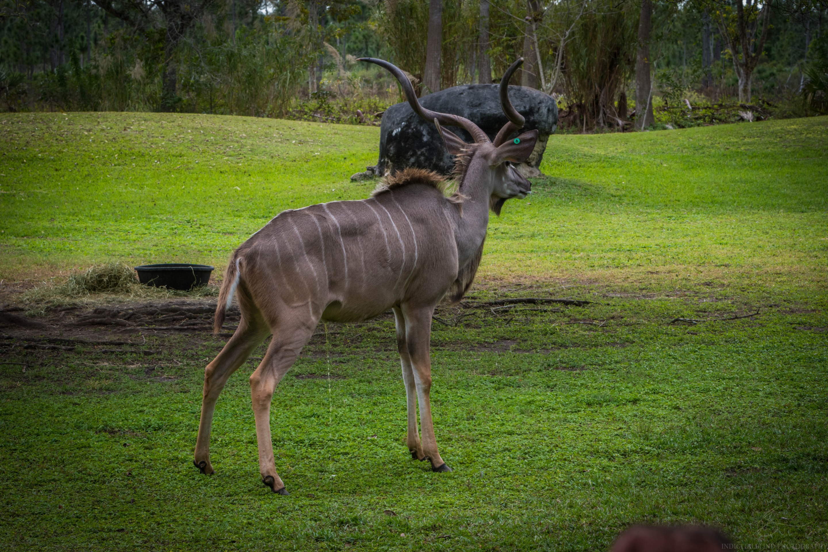 DSC_0118.jpg