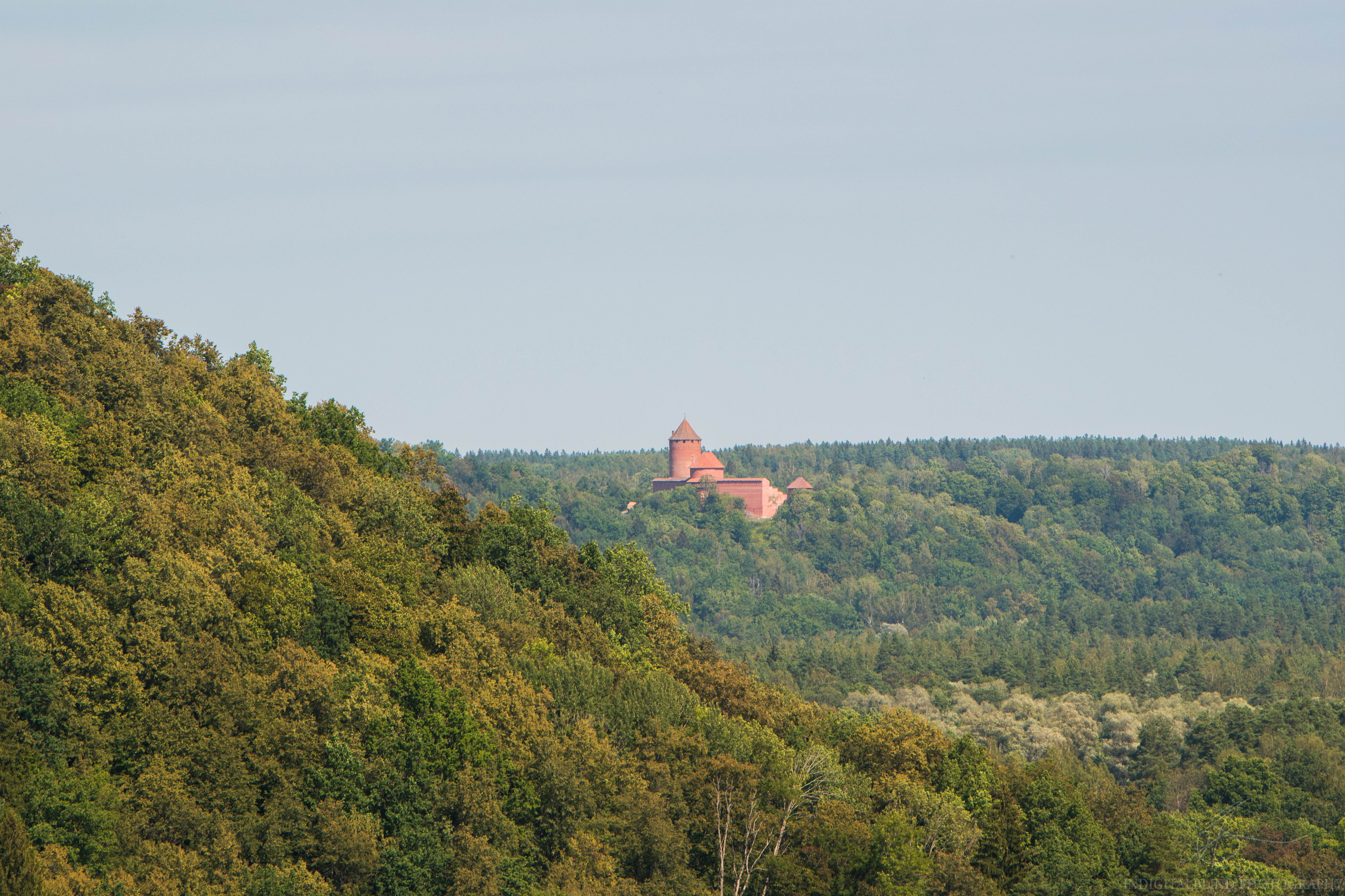 DSC_0058.jpg