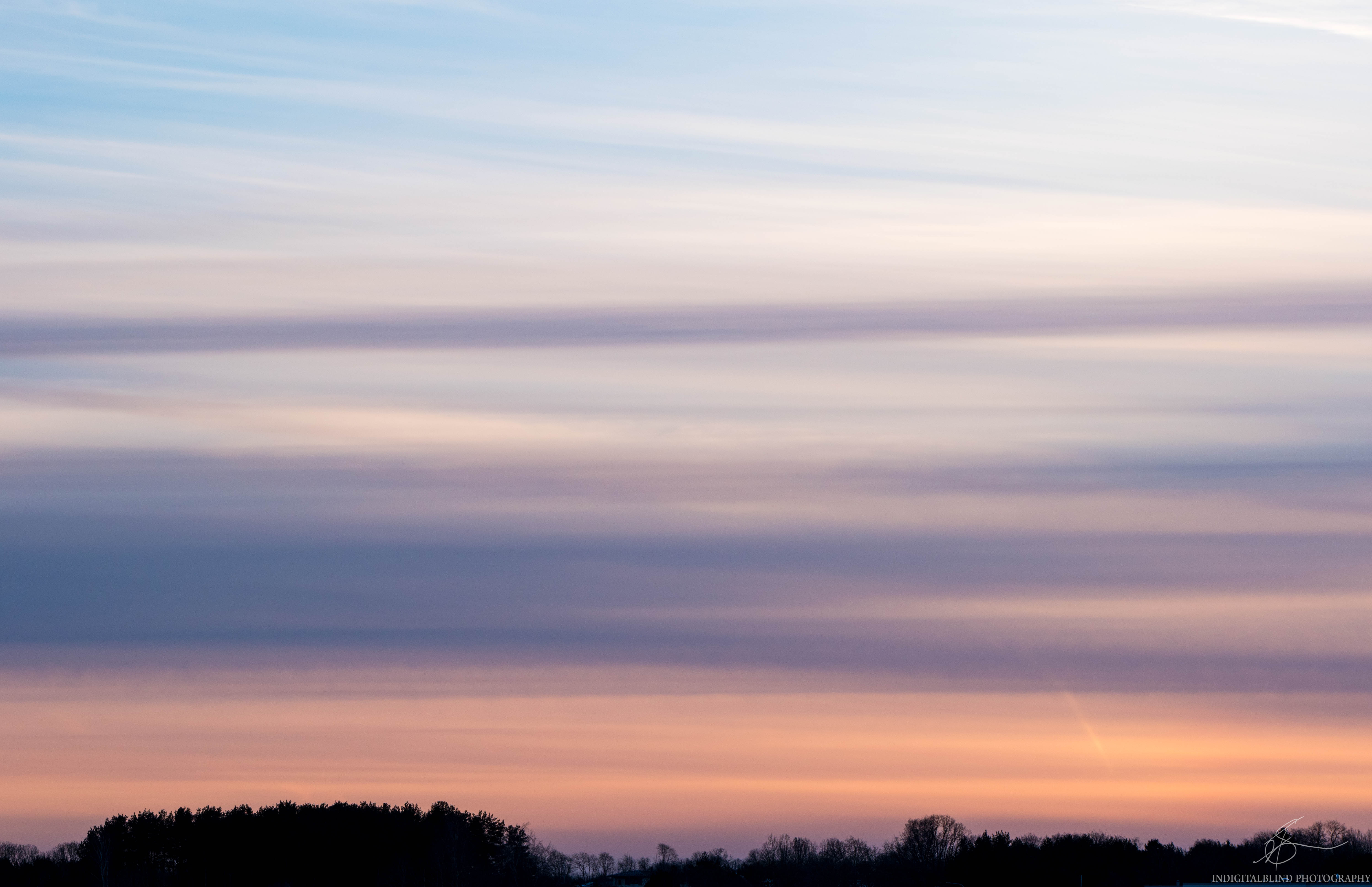 DSC_0065.jpg