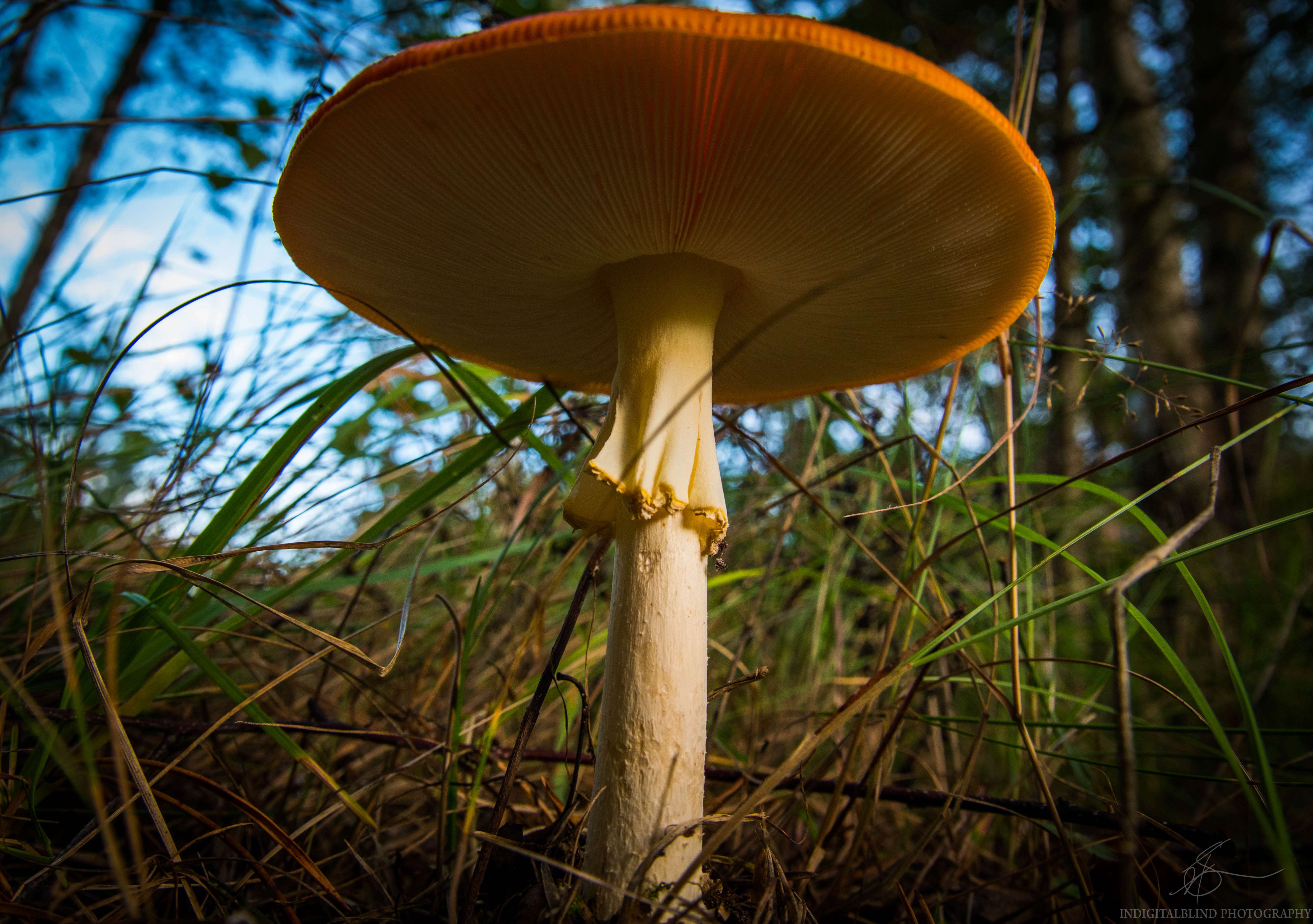 DSC_0819.jpg