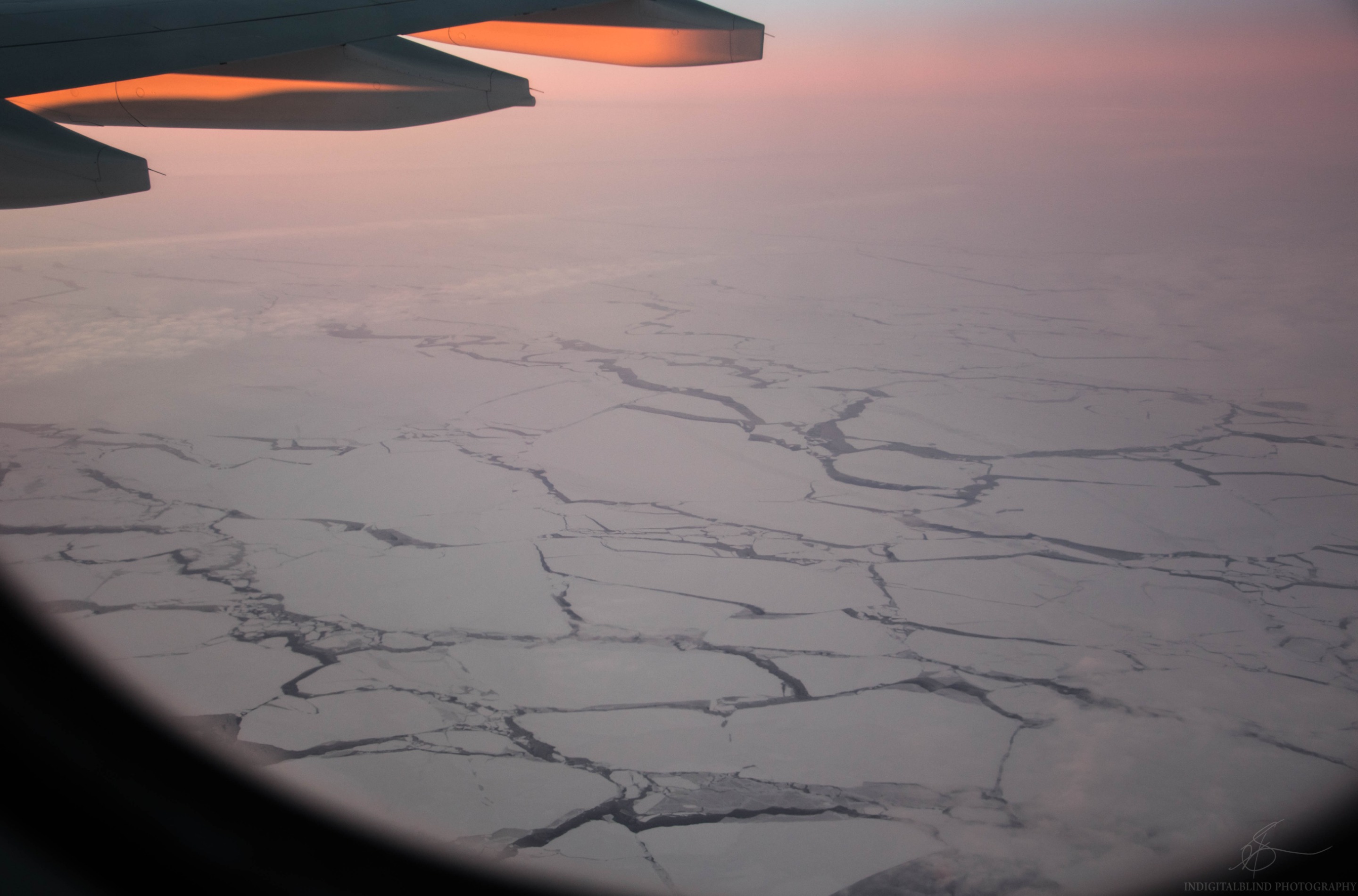 DSC_0008.jpg