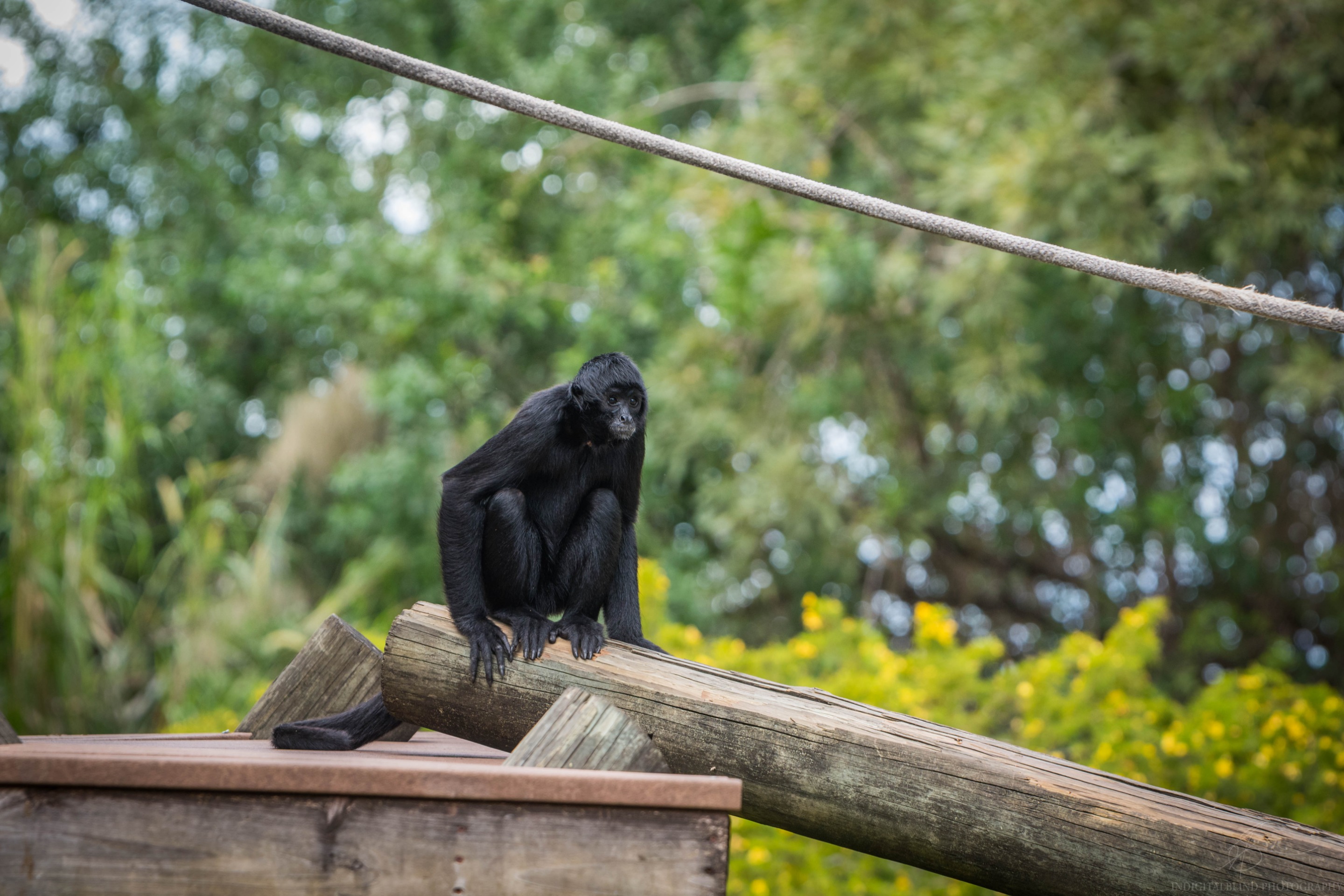 DSC_0115.jpg