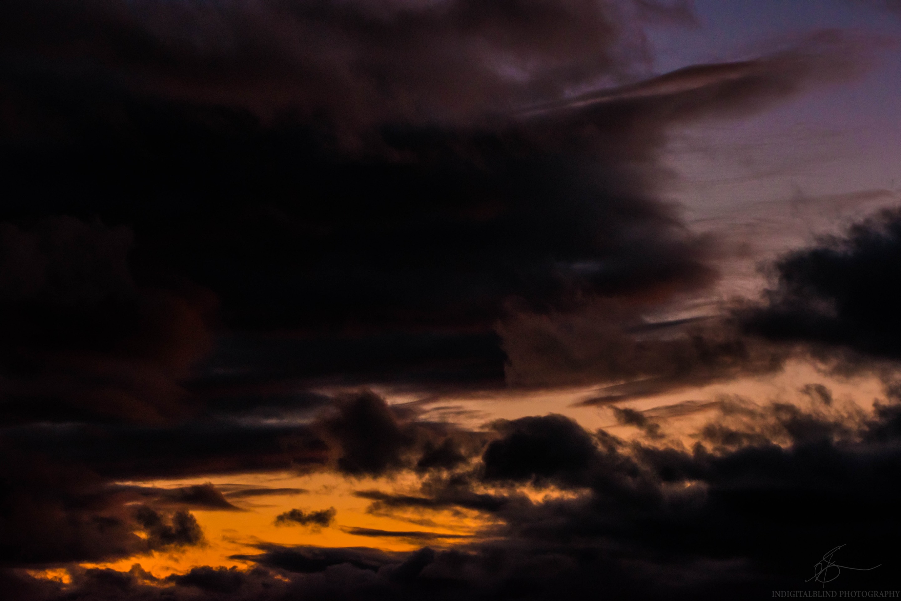 DSC_0077.jpg