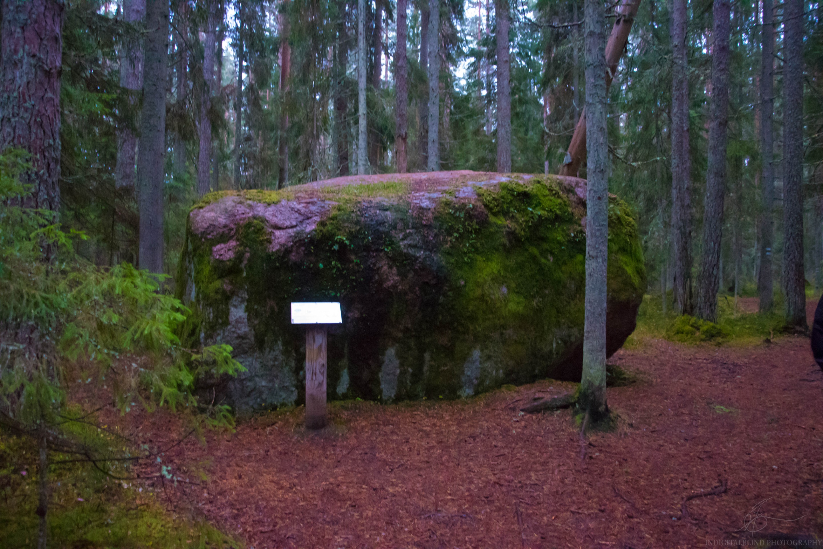 DSC_0066.jpg