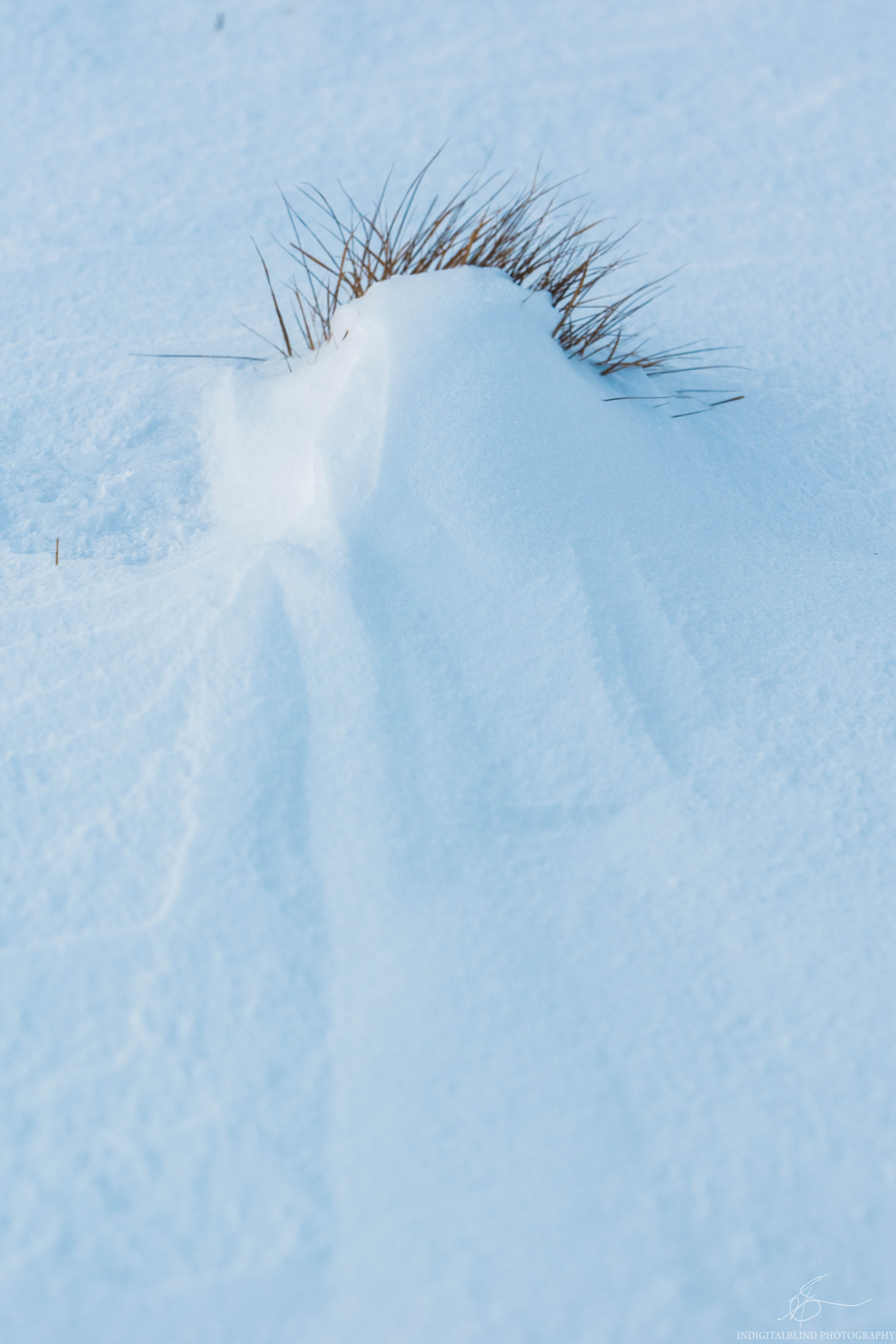 DSC_0432.jpg