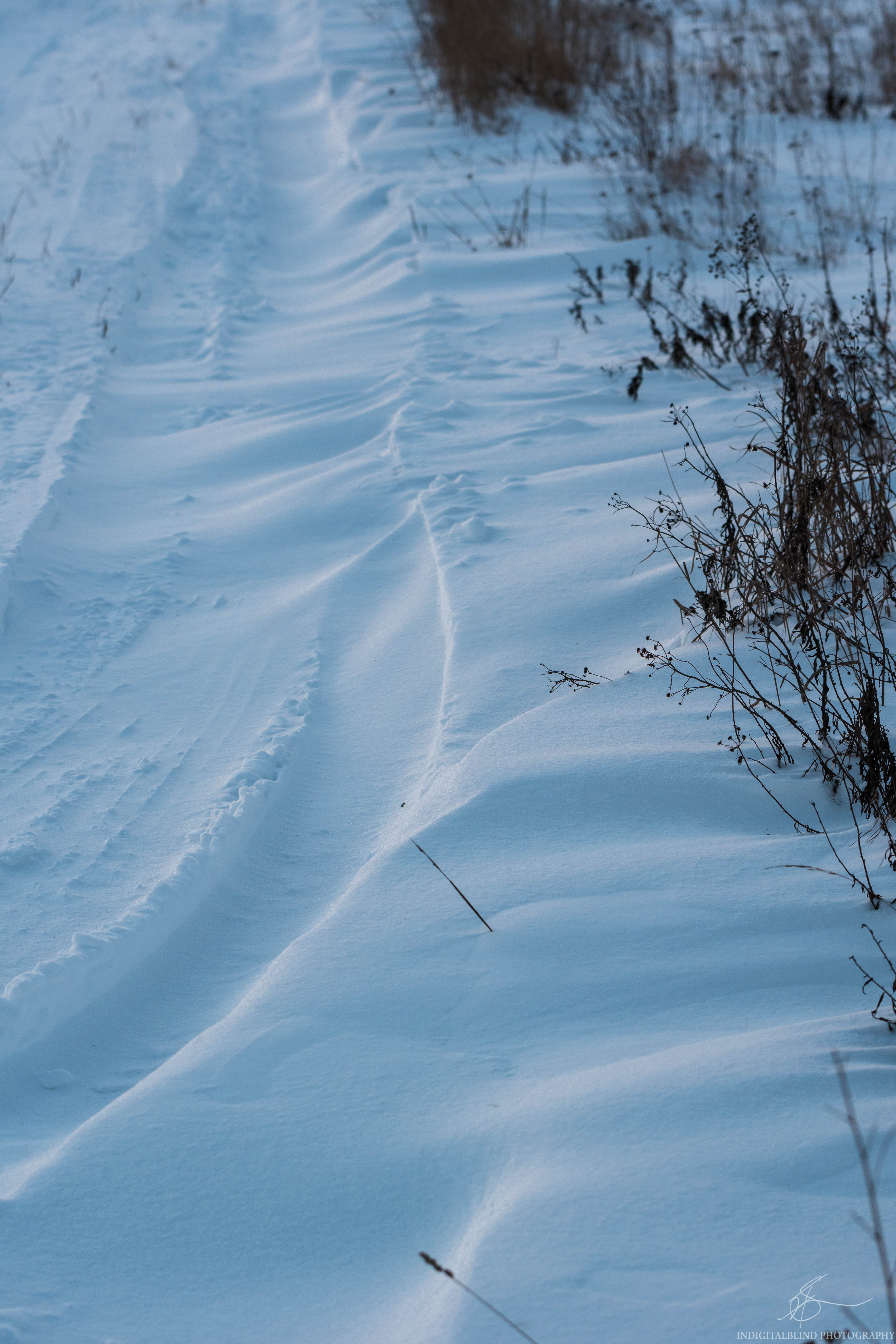 DSC_0442.jpg