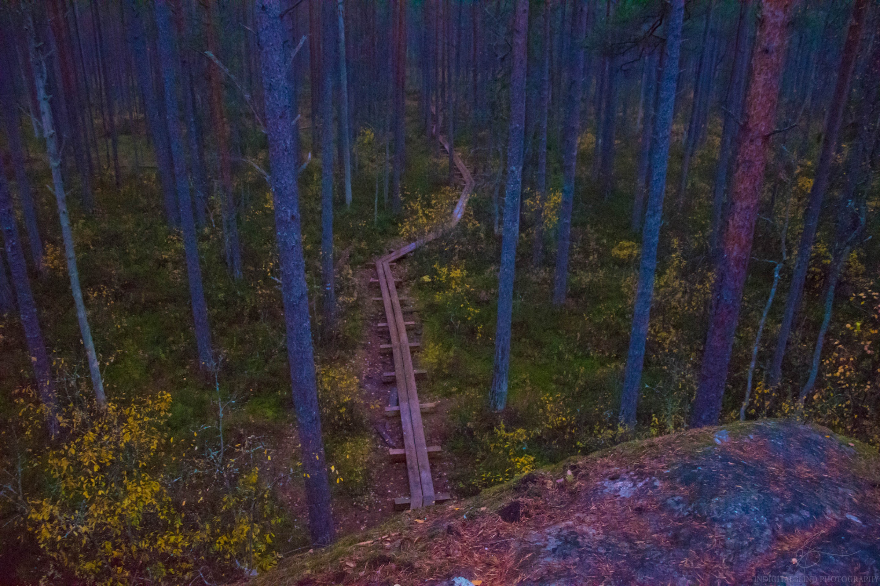 DSC_0070.jpg