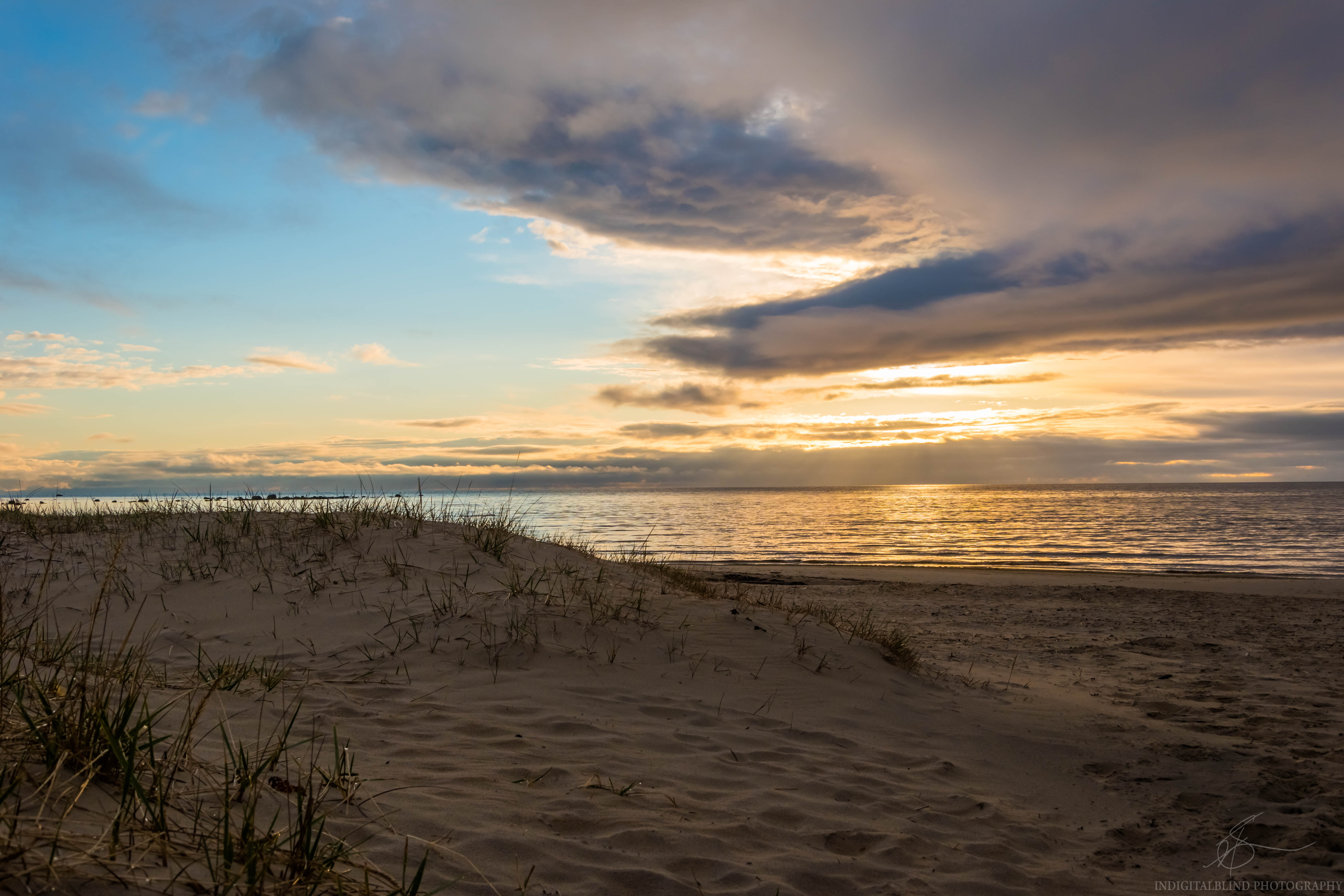 DSC_0588.jpg