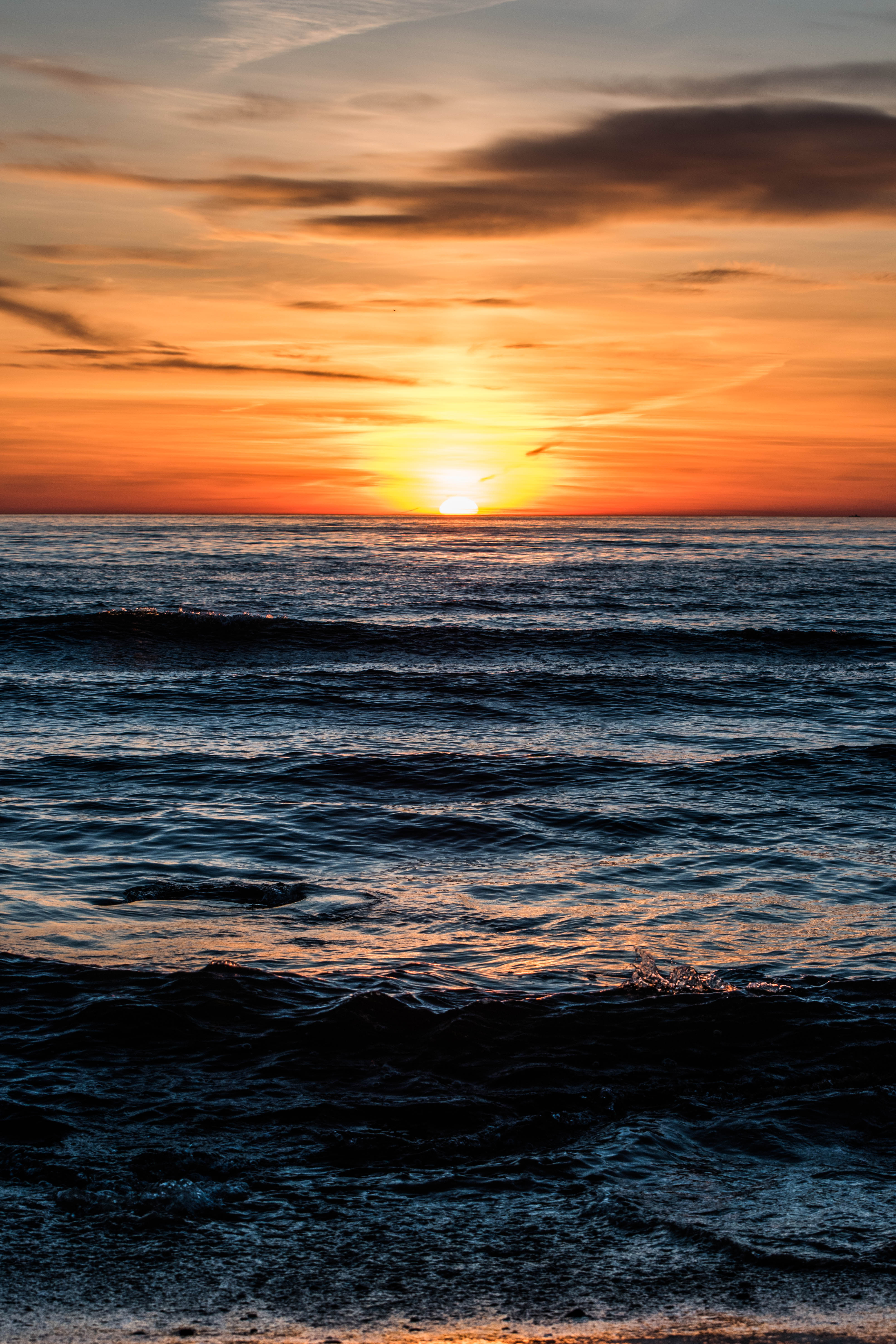 DSC_0086.jpg
