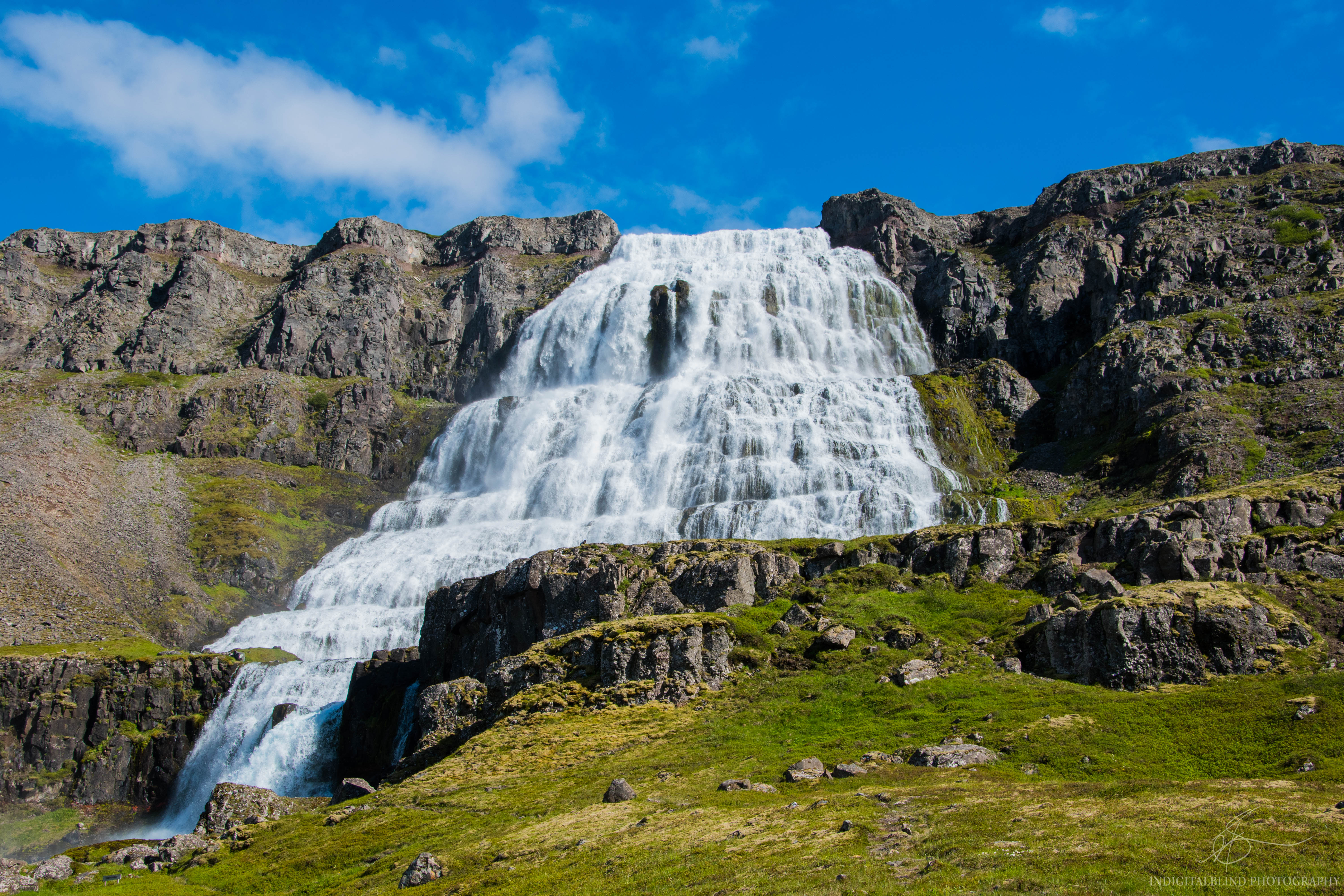 DSC_0015.jpg