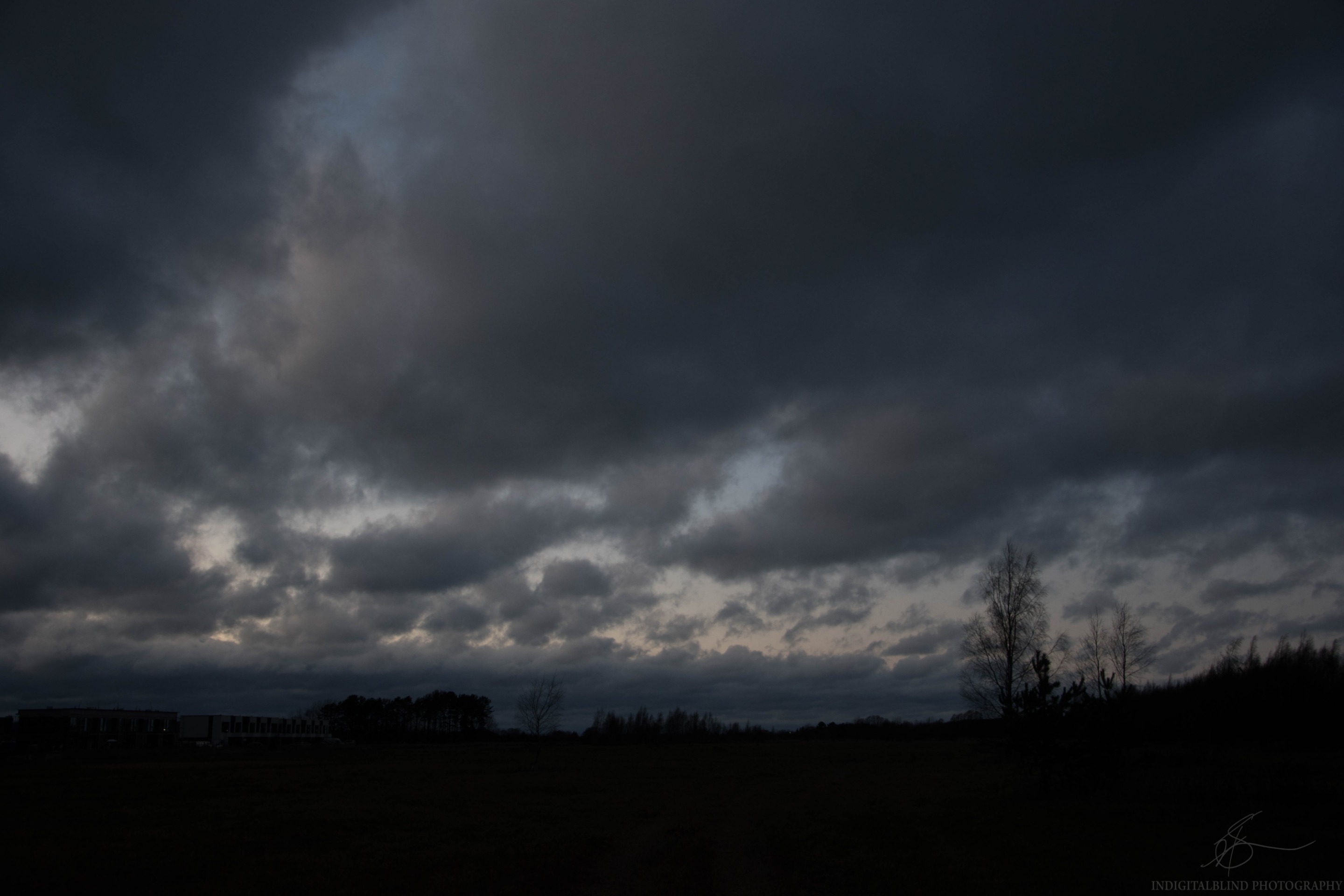 DSC_0048.jpg