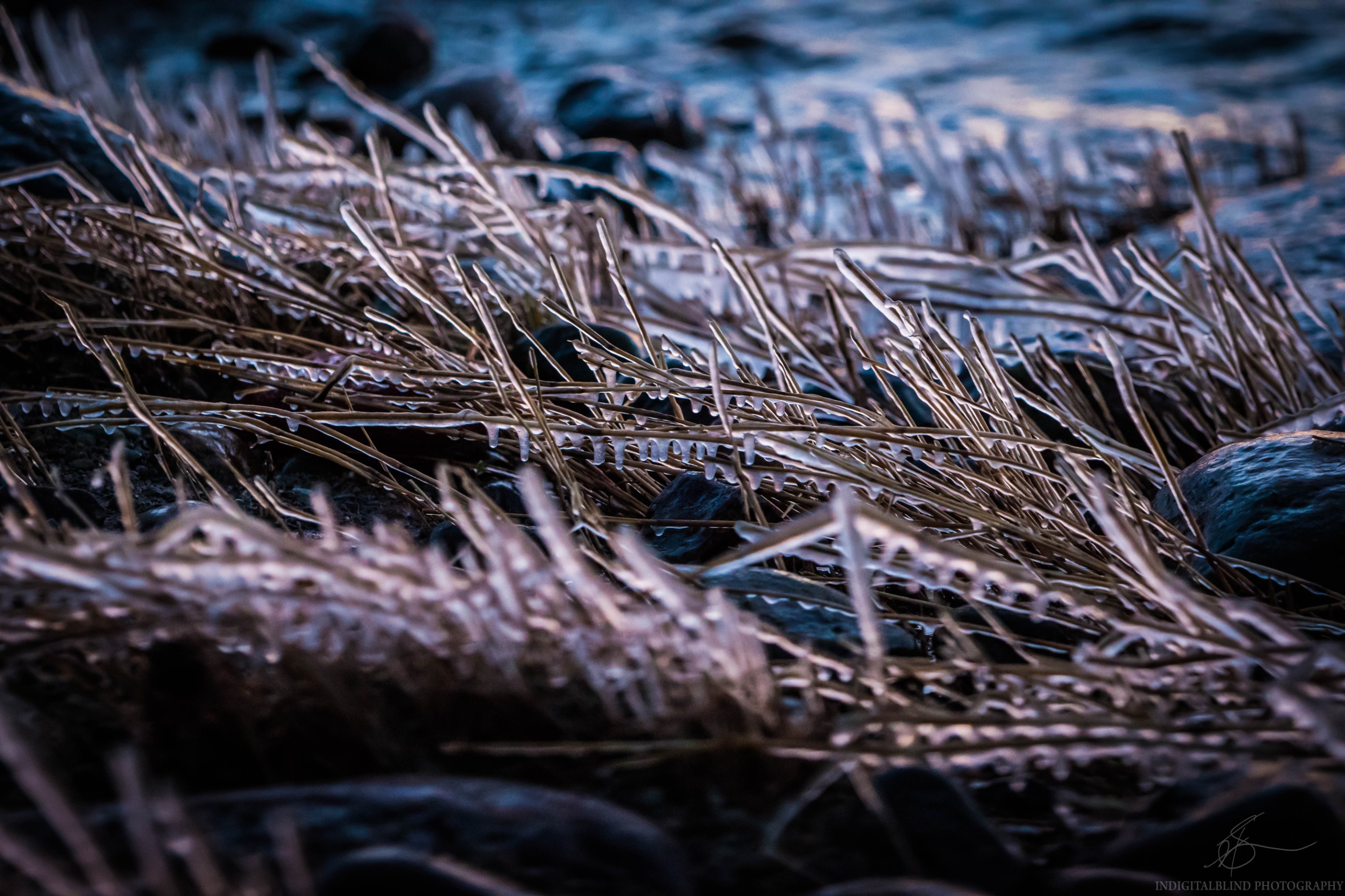 DSC_0472.jpg