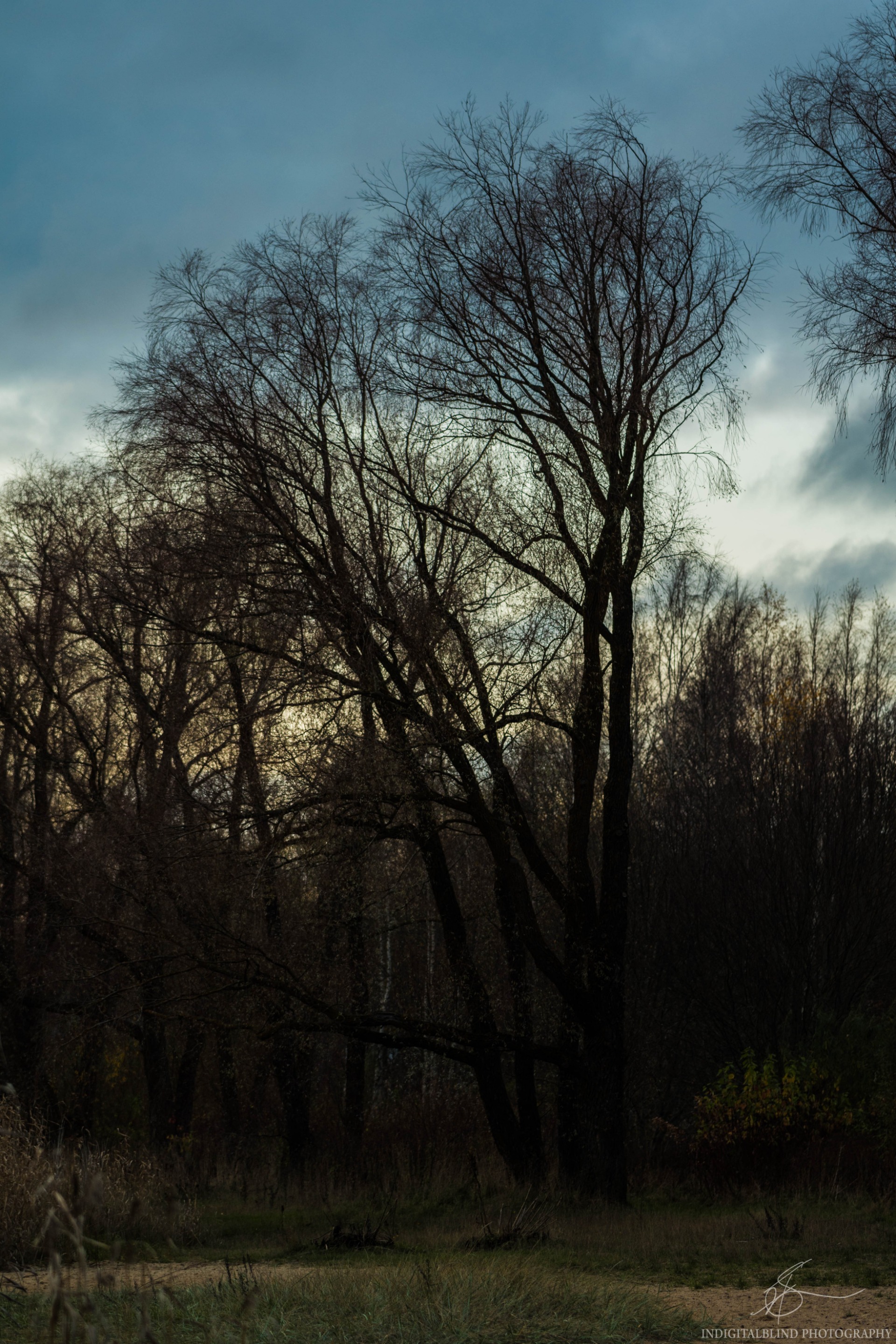 DSC_0011.jpg