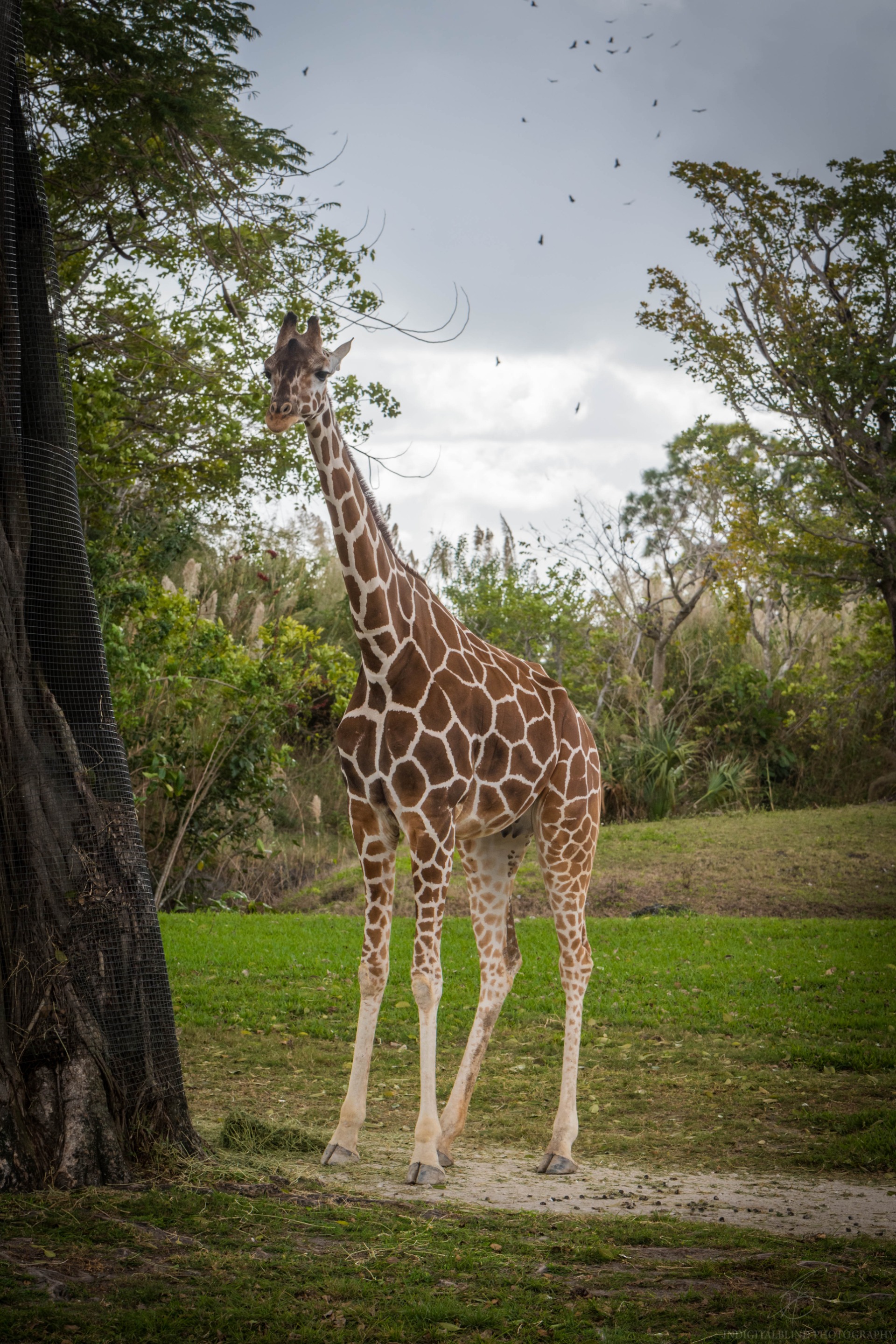 DSC_0123.jpg