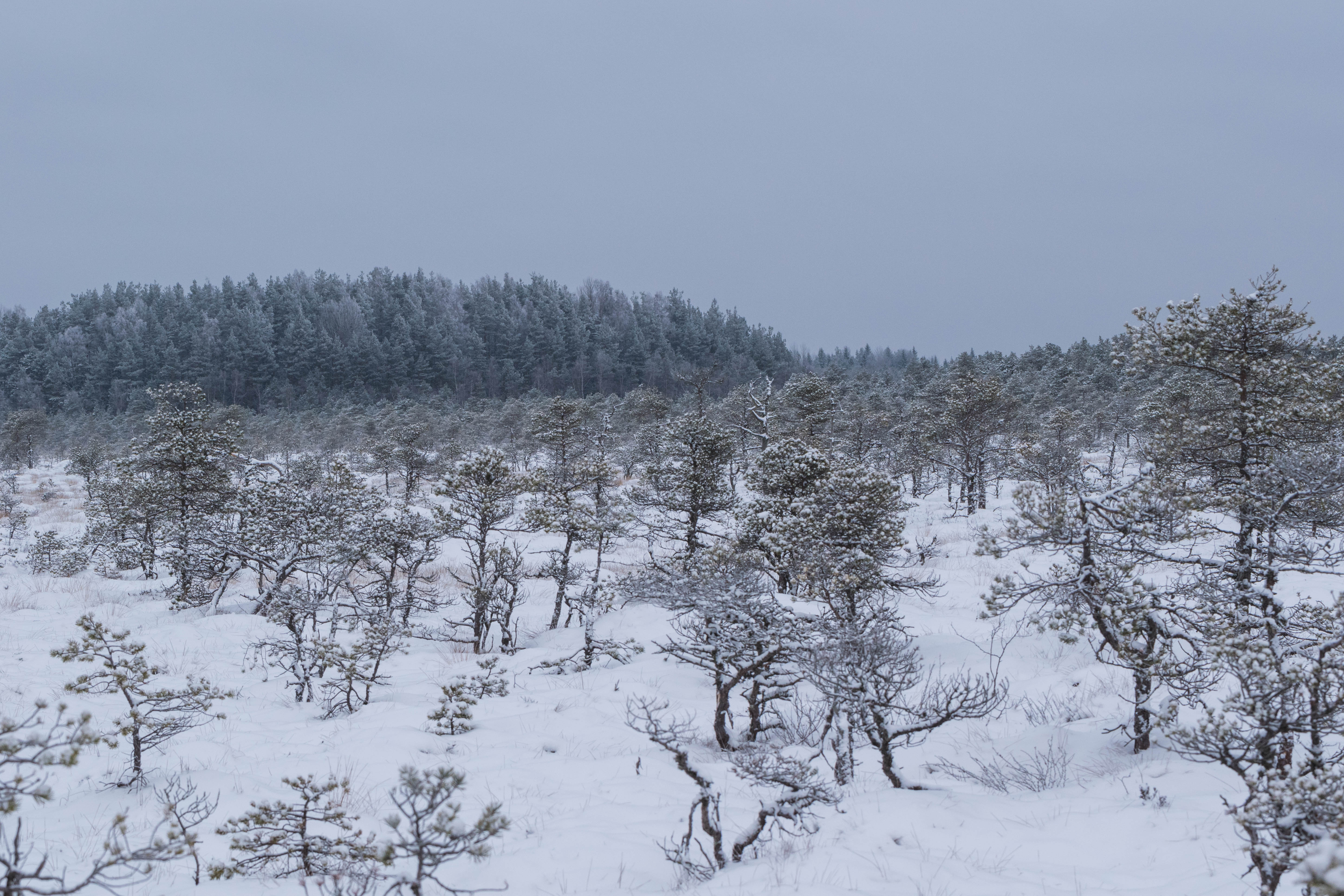 DSC_0007.jpg