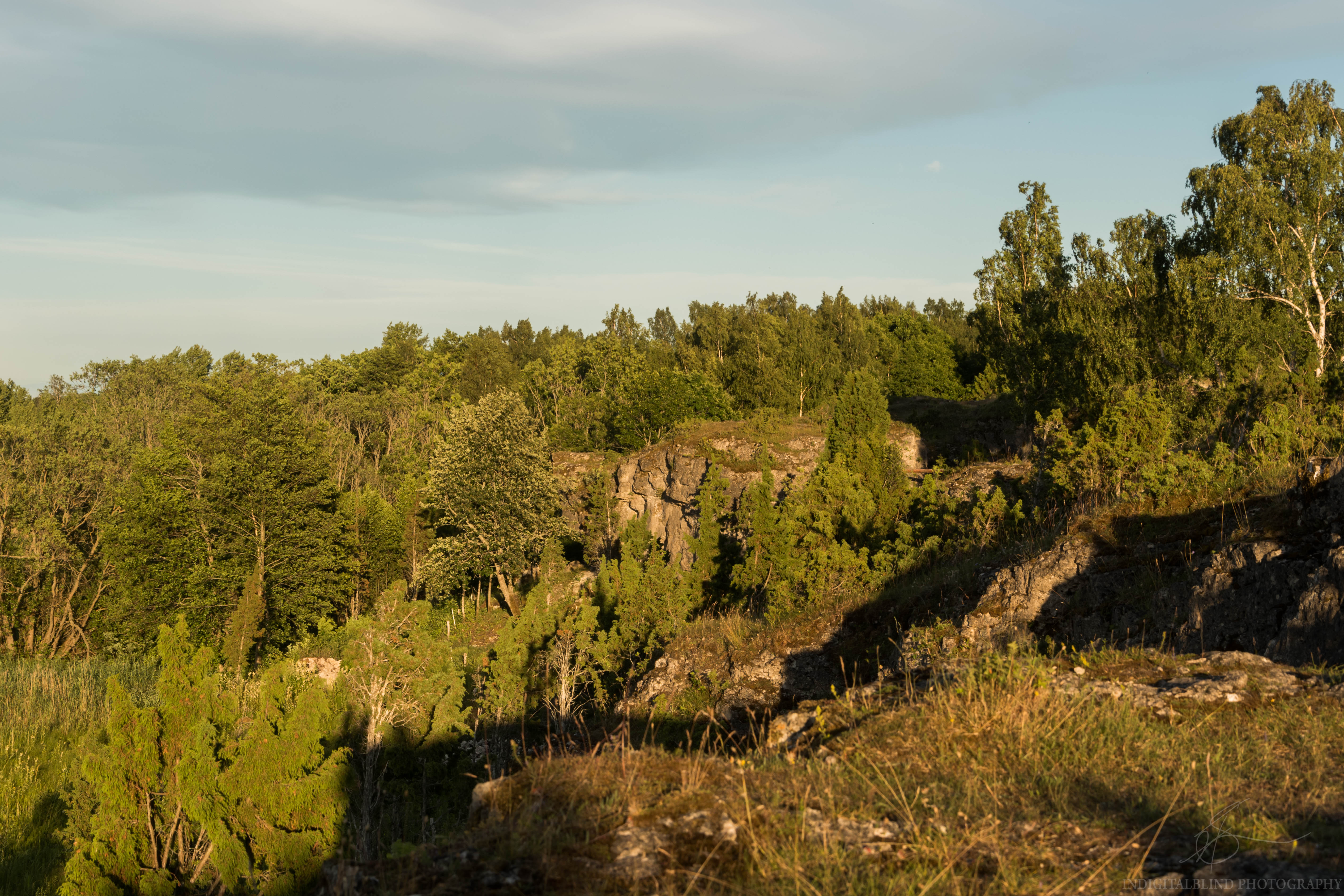 DSC_1162.jpg