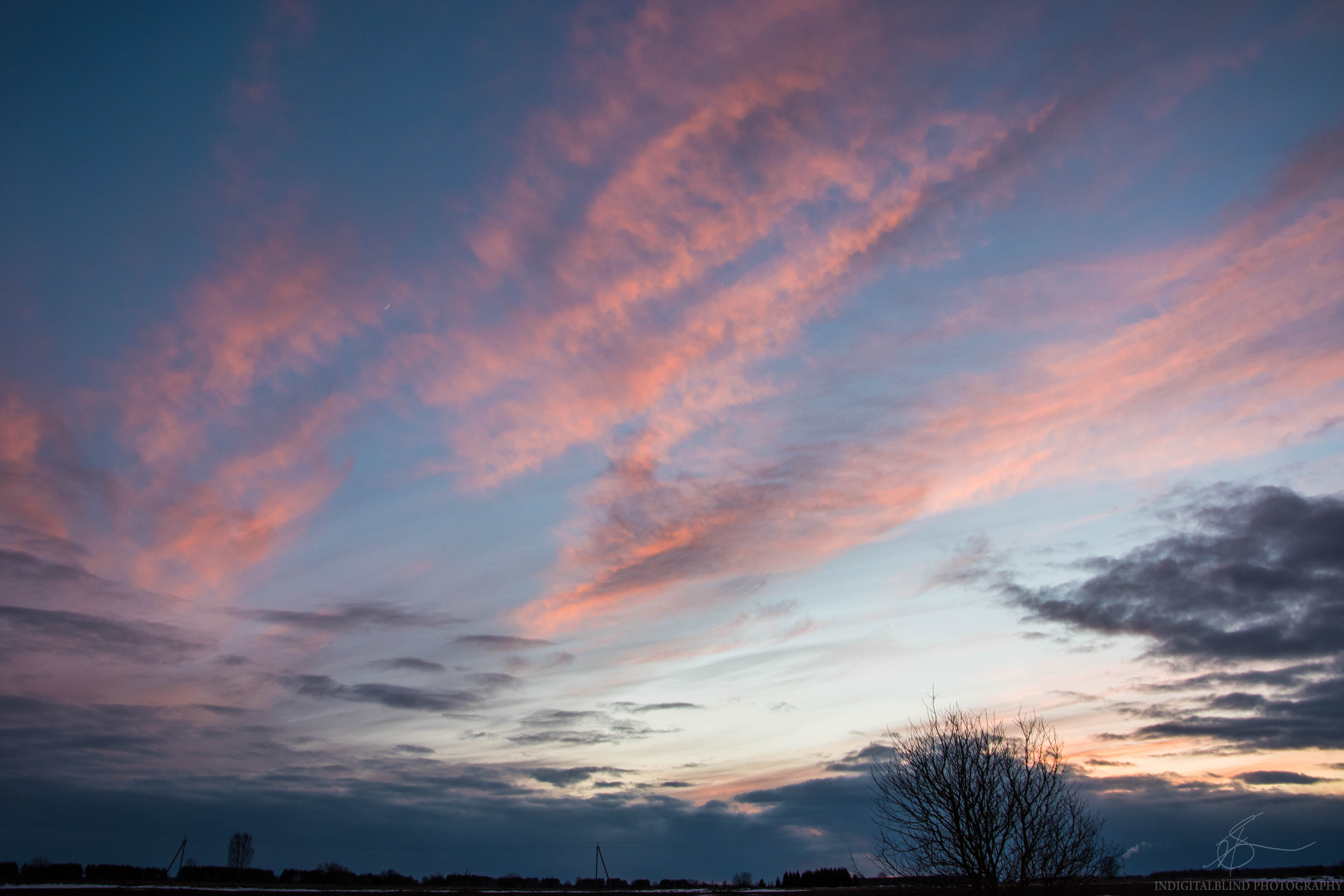 DSC_0097.jpg