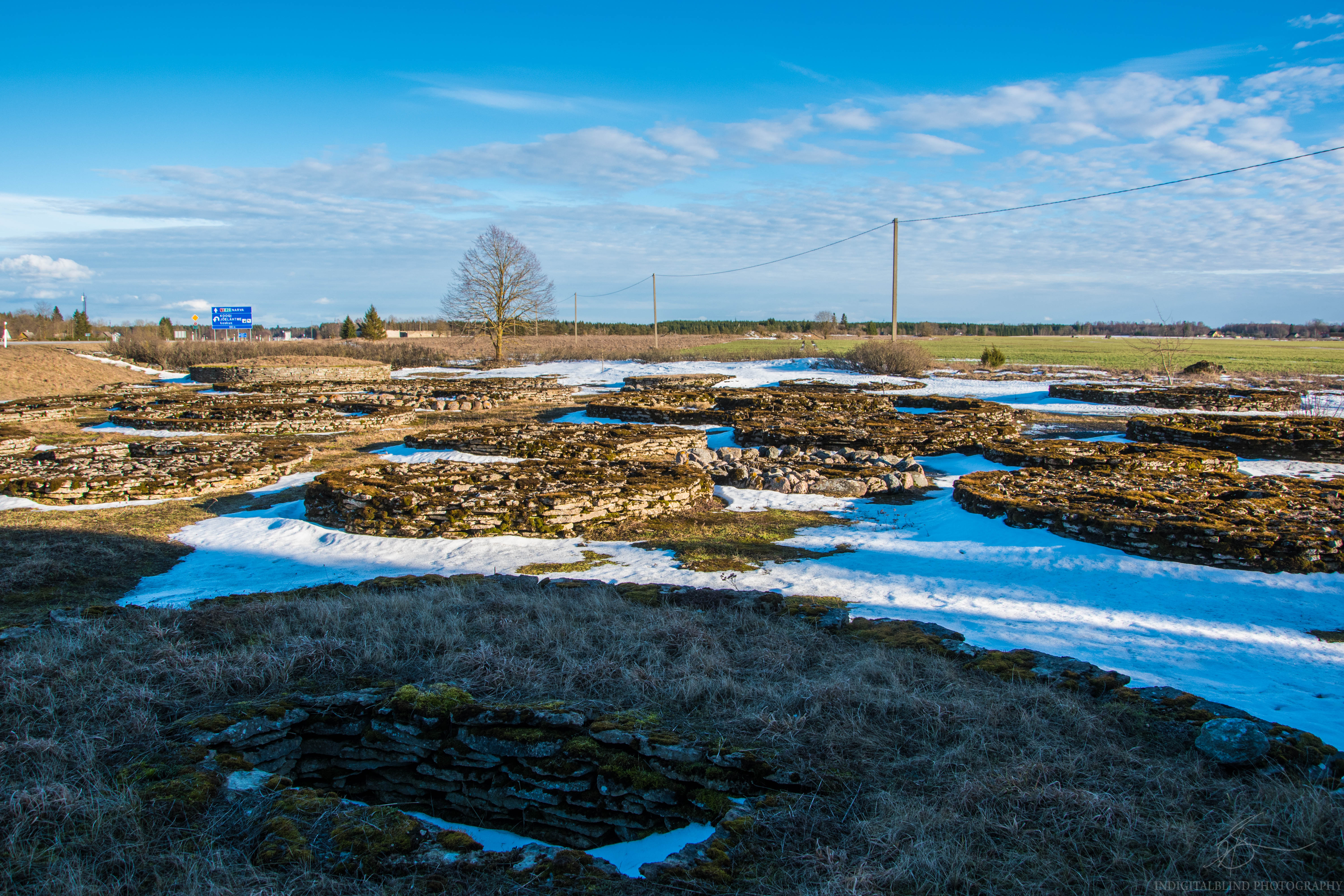 DSC_0080.jpg