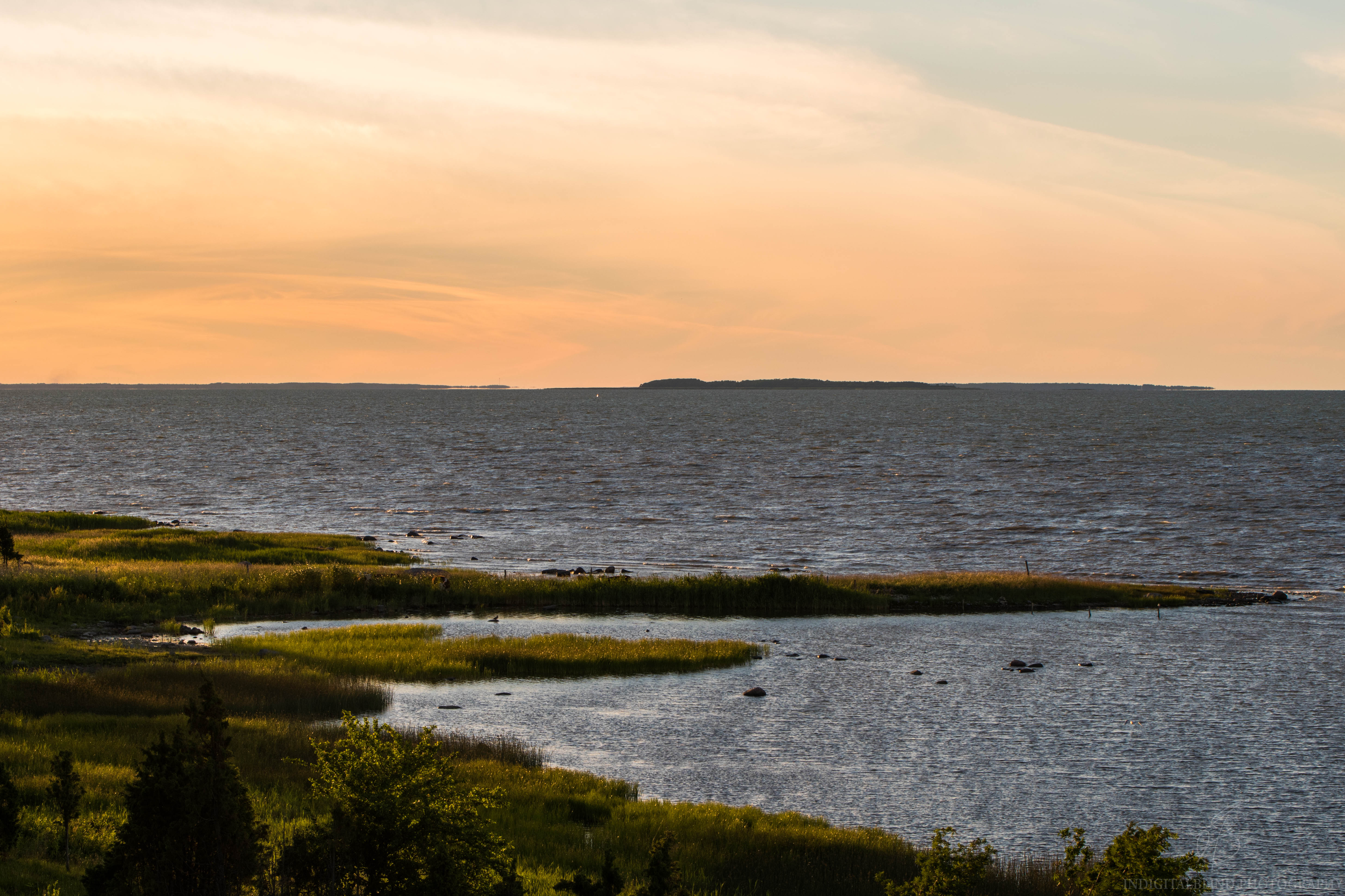 DSC_1172.jpg