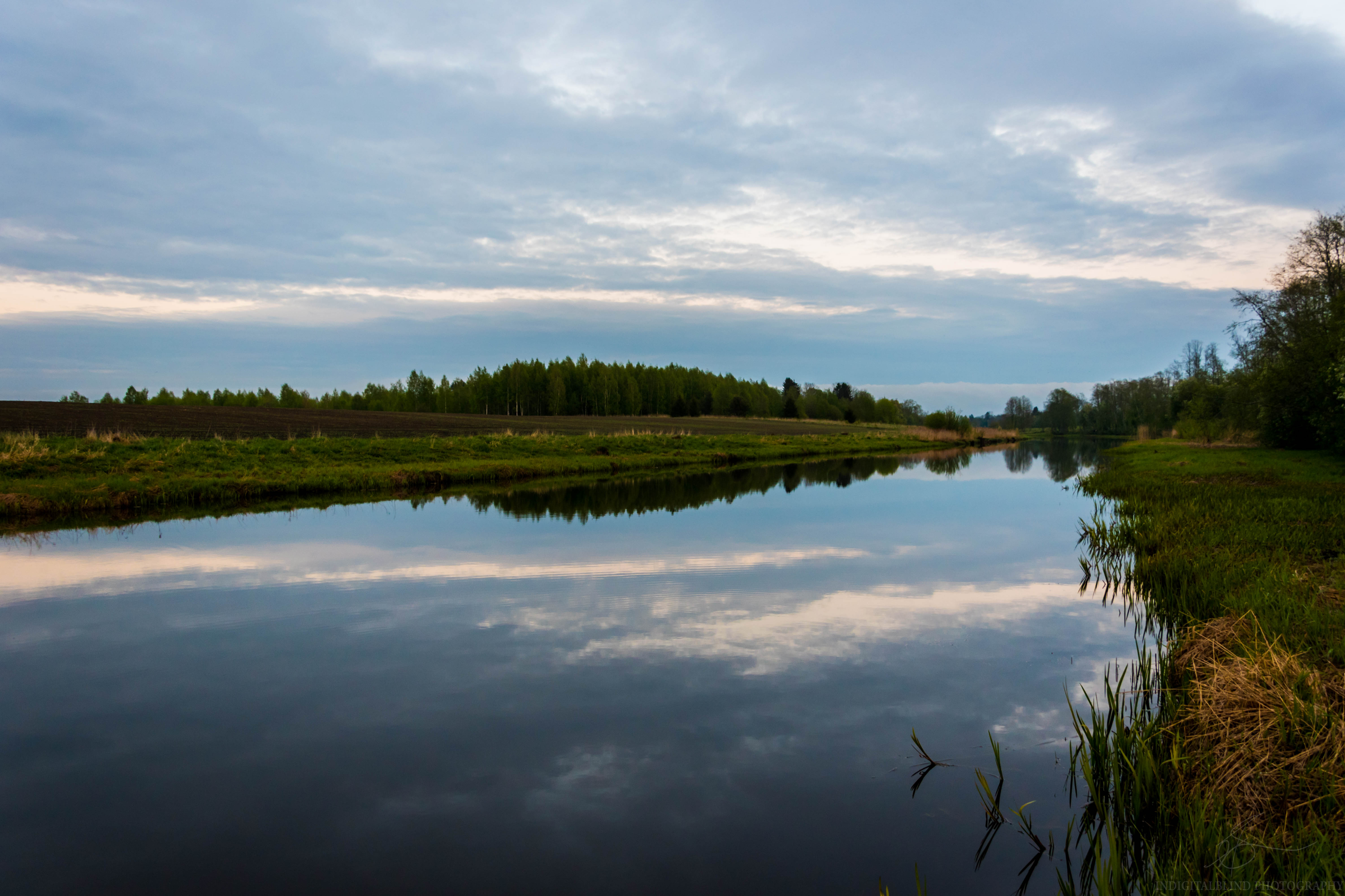 DSC_0370.jpg