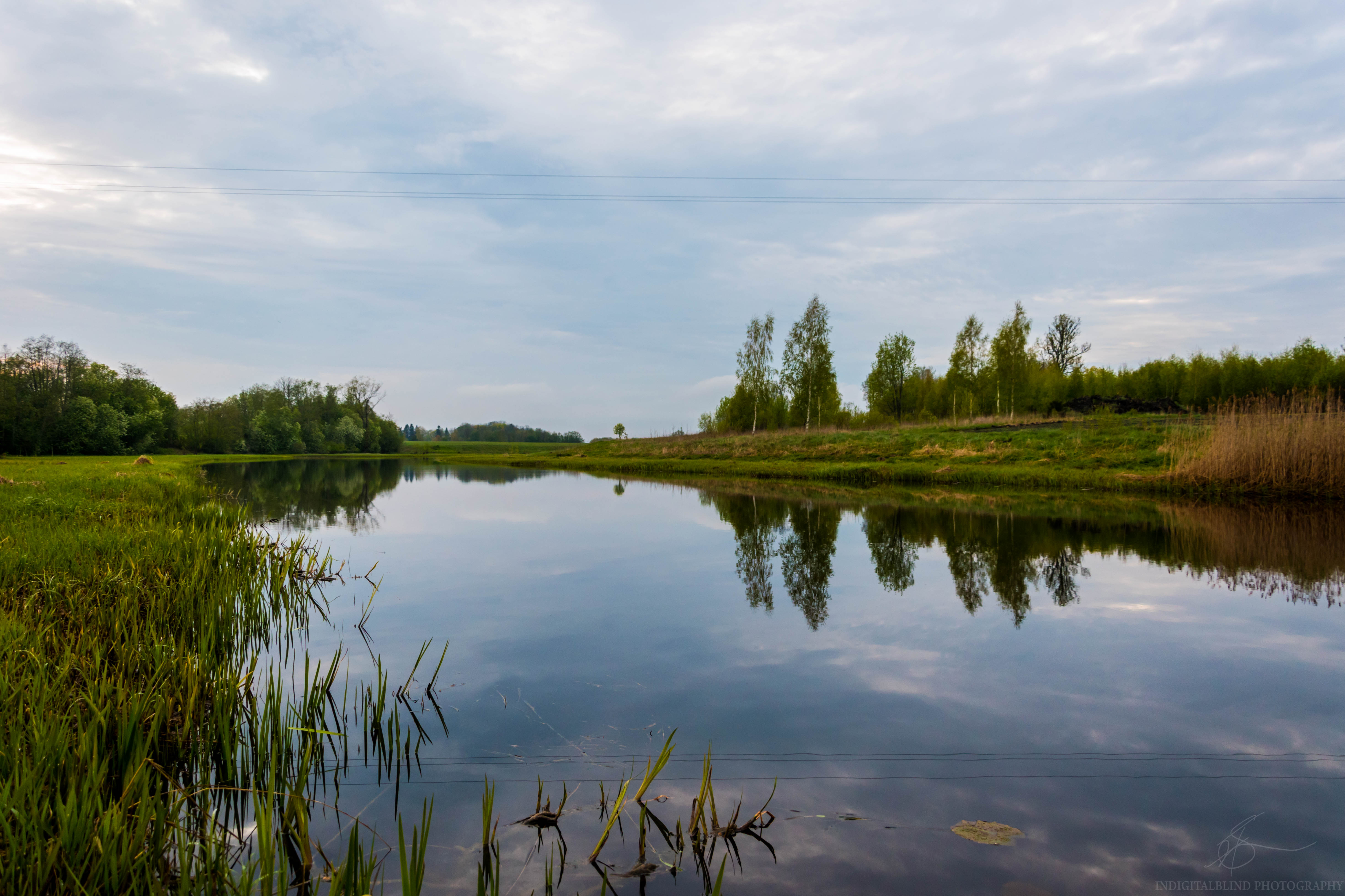 DSC_0369.jpg