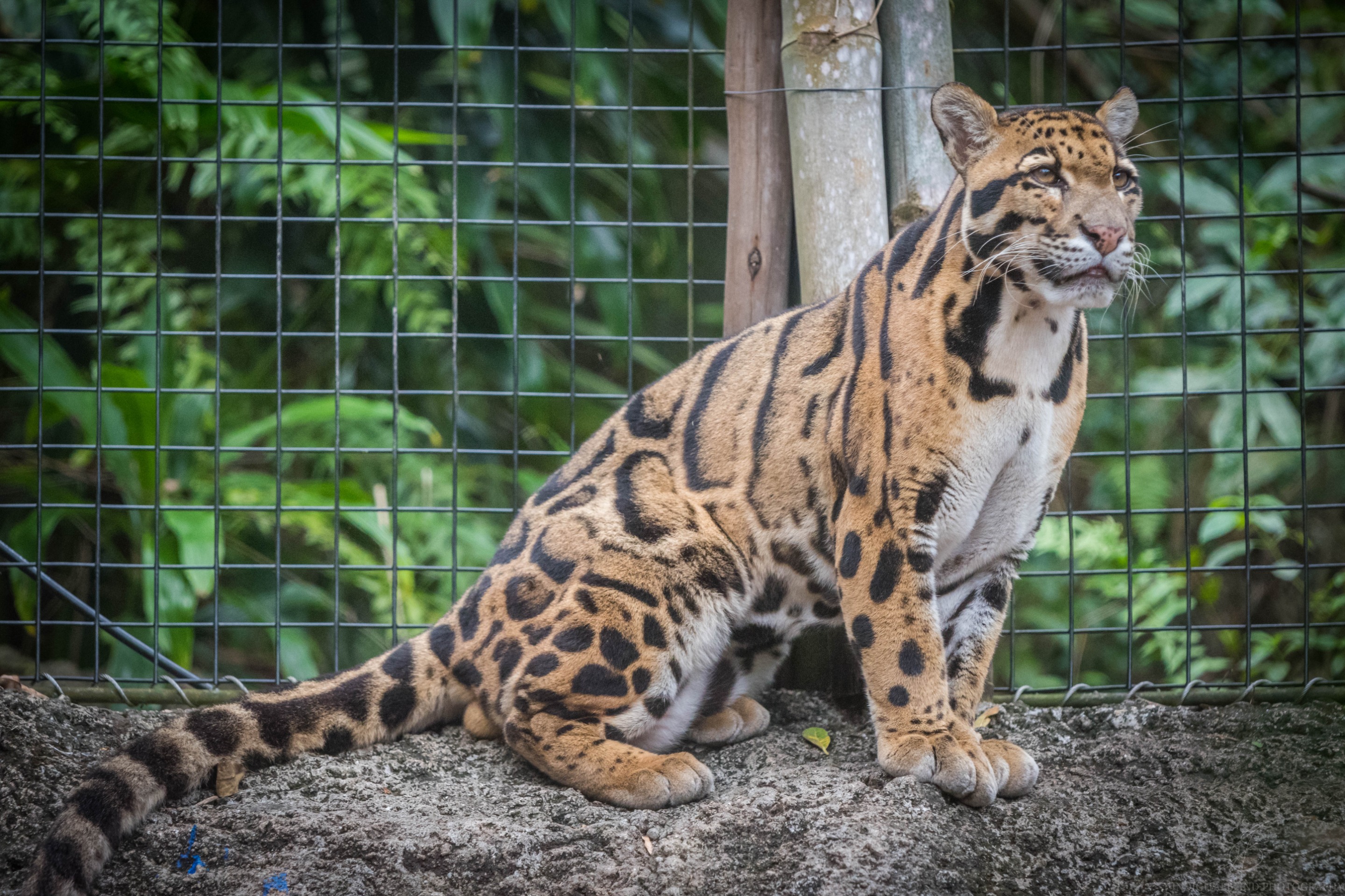 DSC_0142.jpg