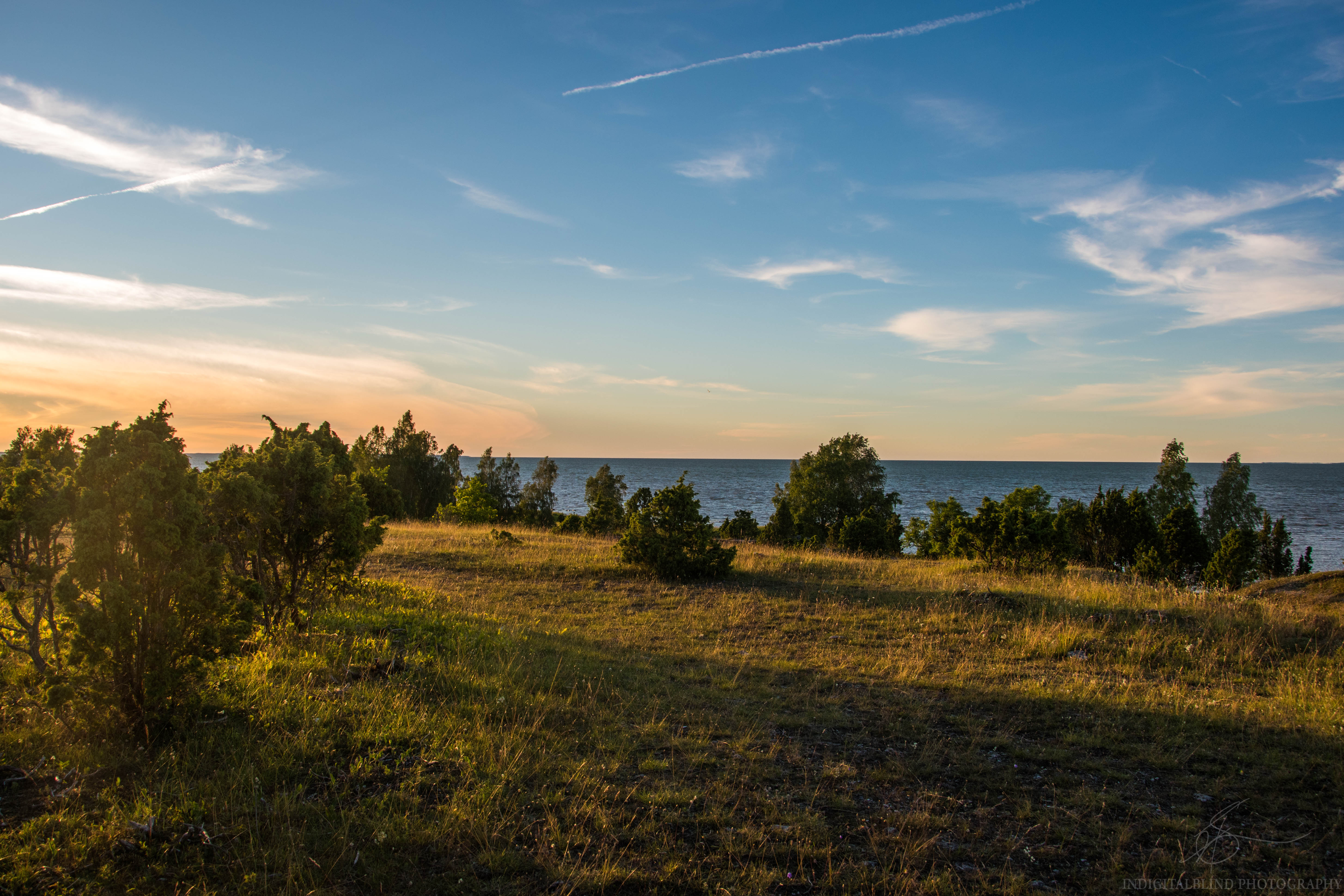 DSC_1176.jpg