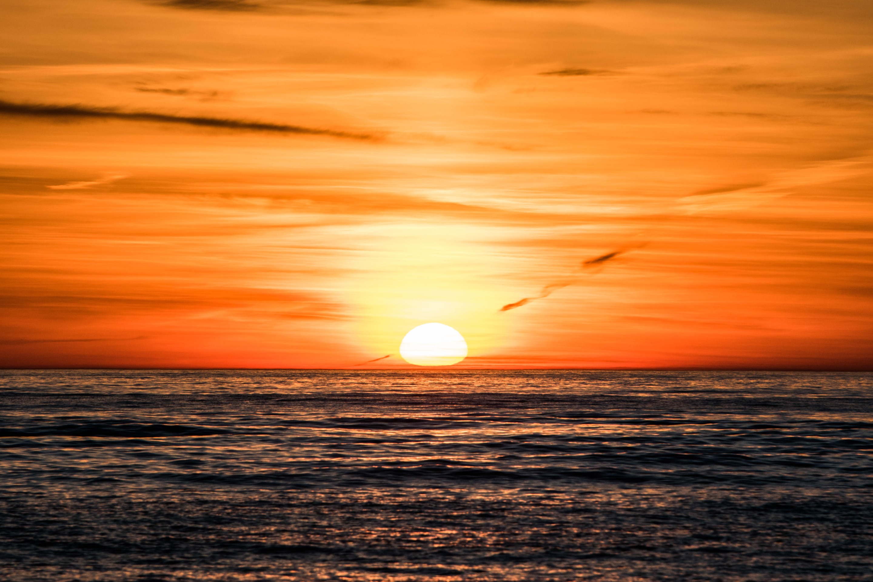 DSC_0084.jpg
