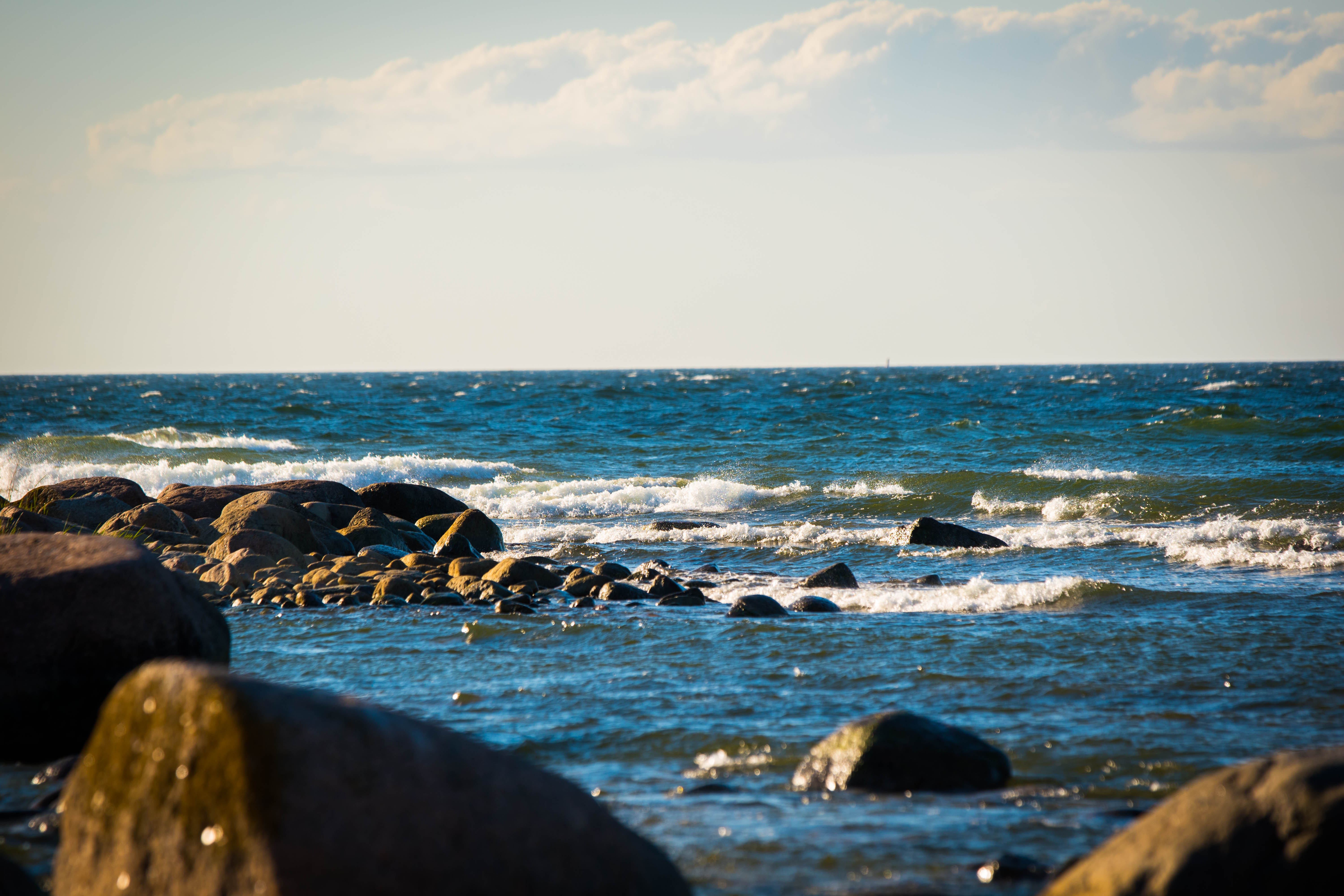 DSC_0467.jpg