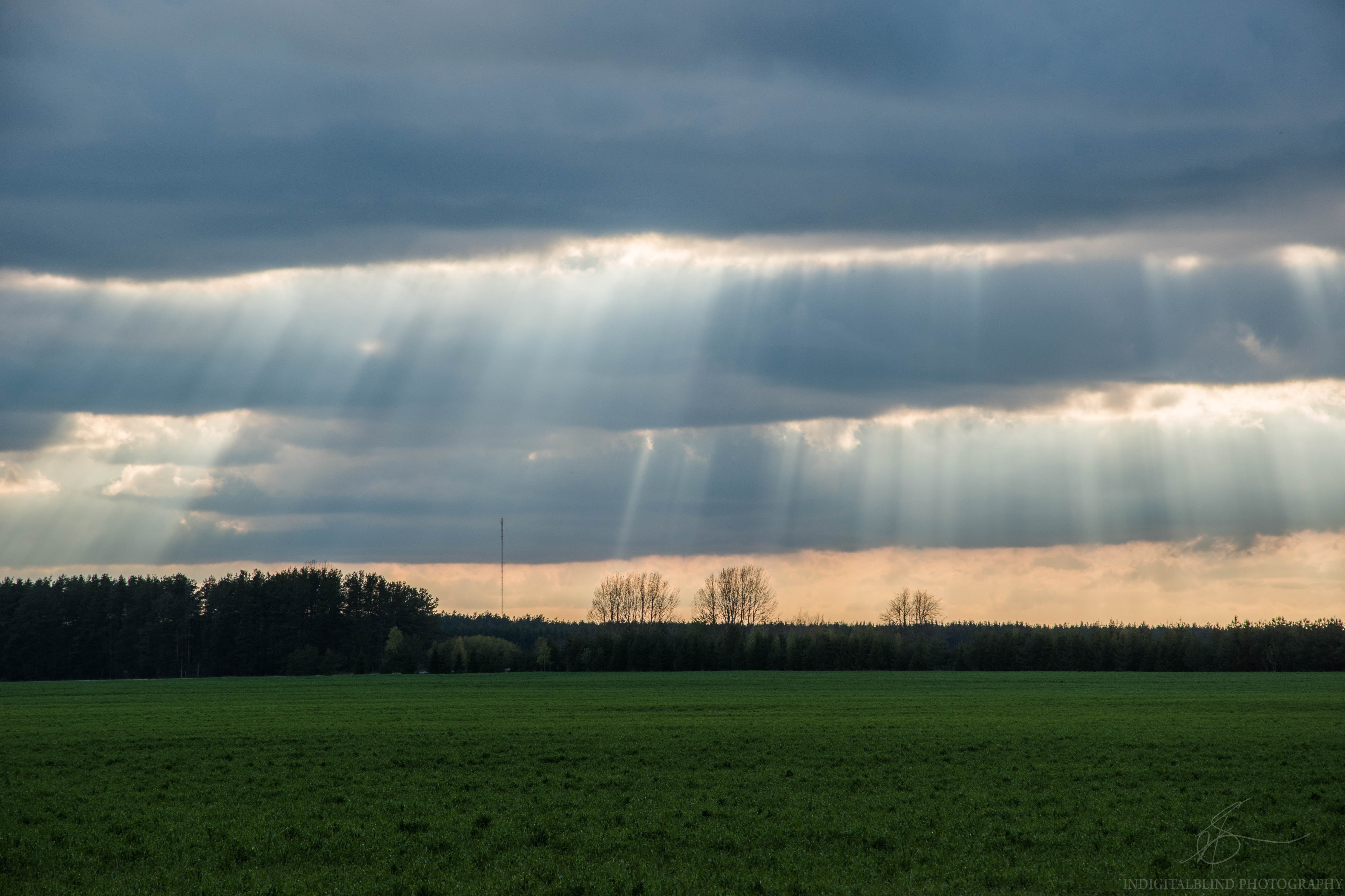 DSC_0422.jpg