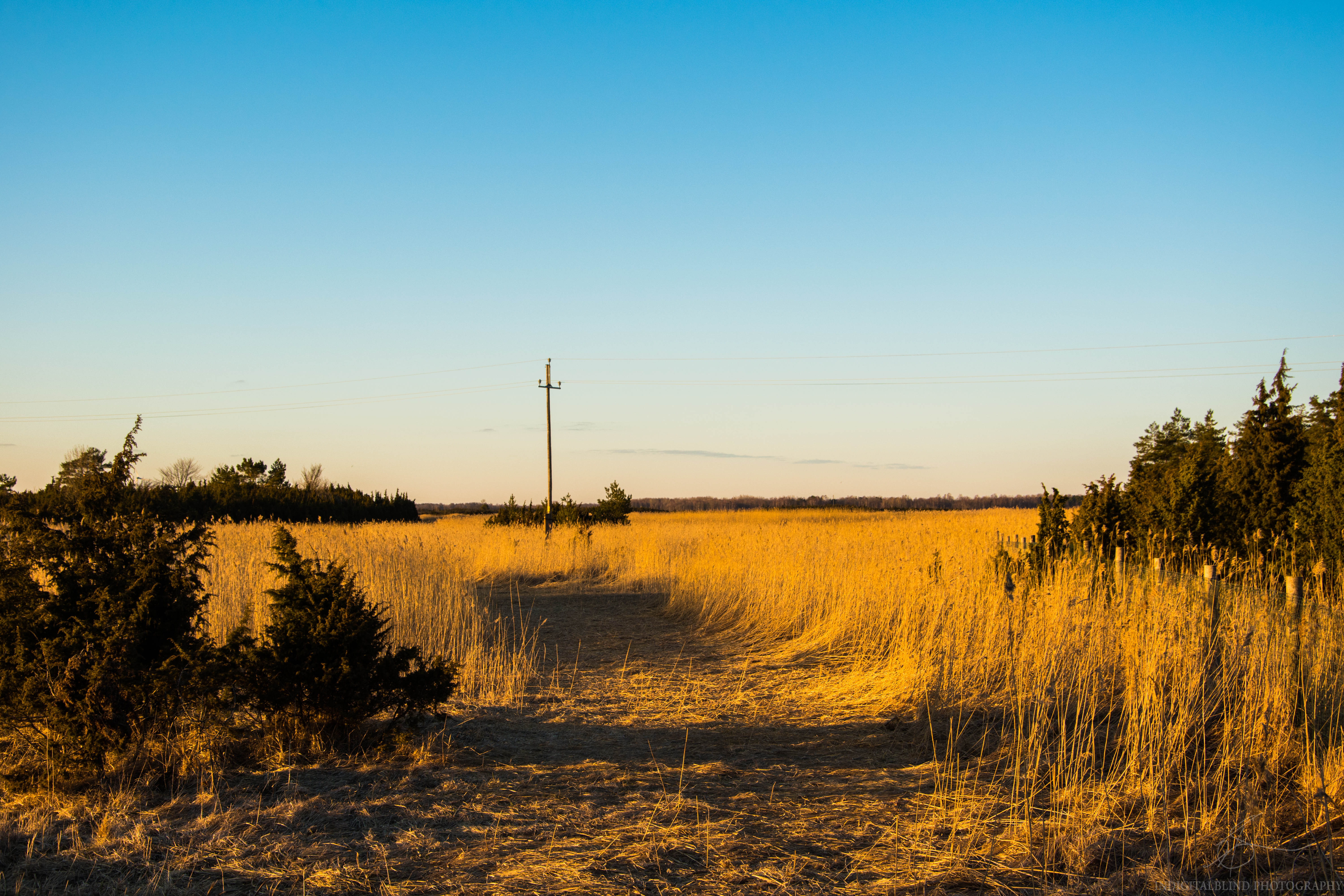 DSC_0274.jpg