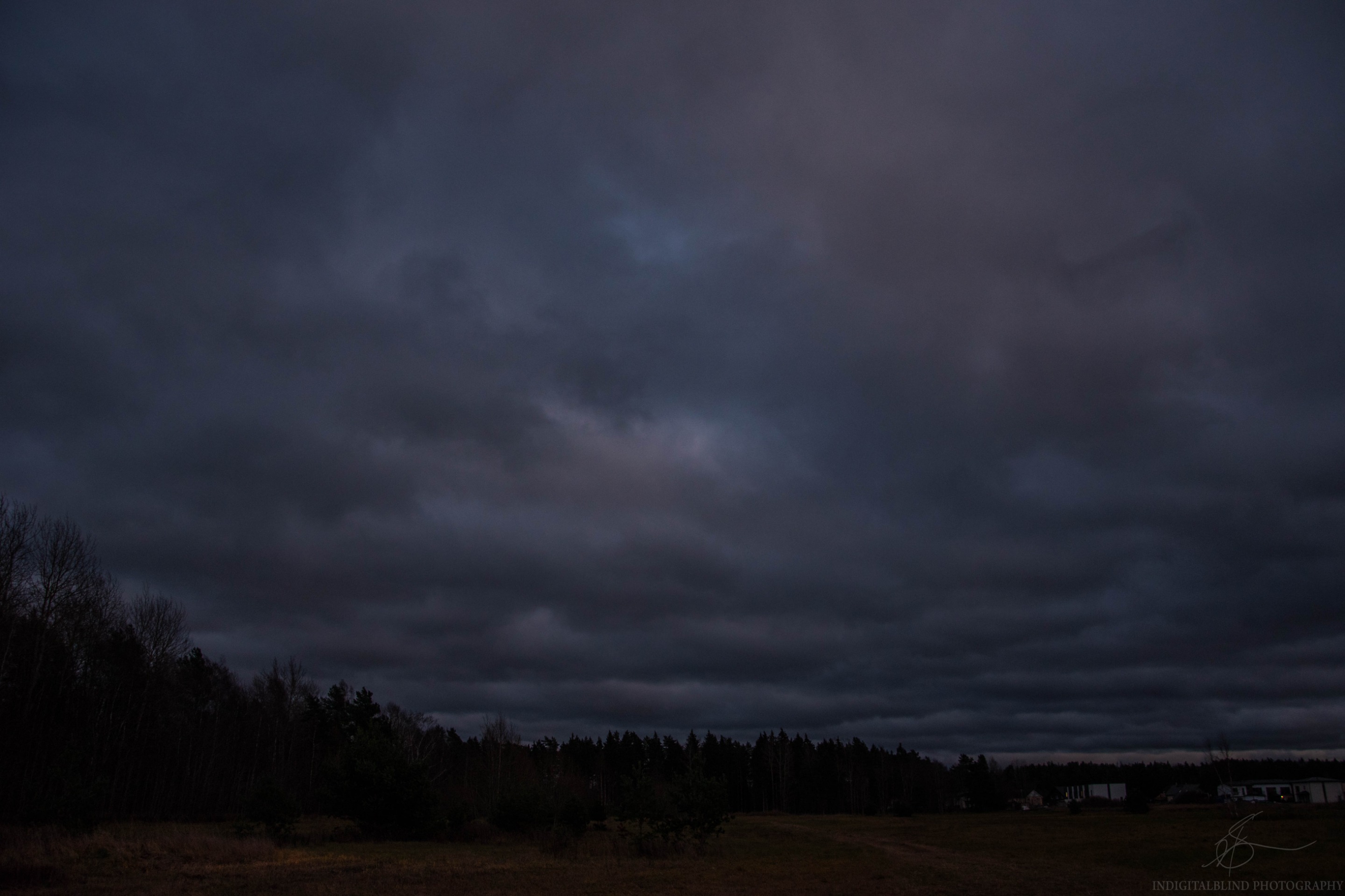 DSC_0050.jpg