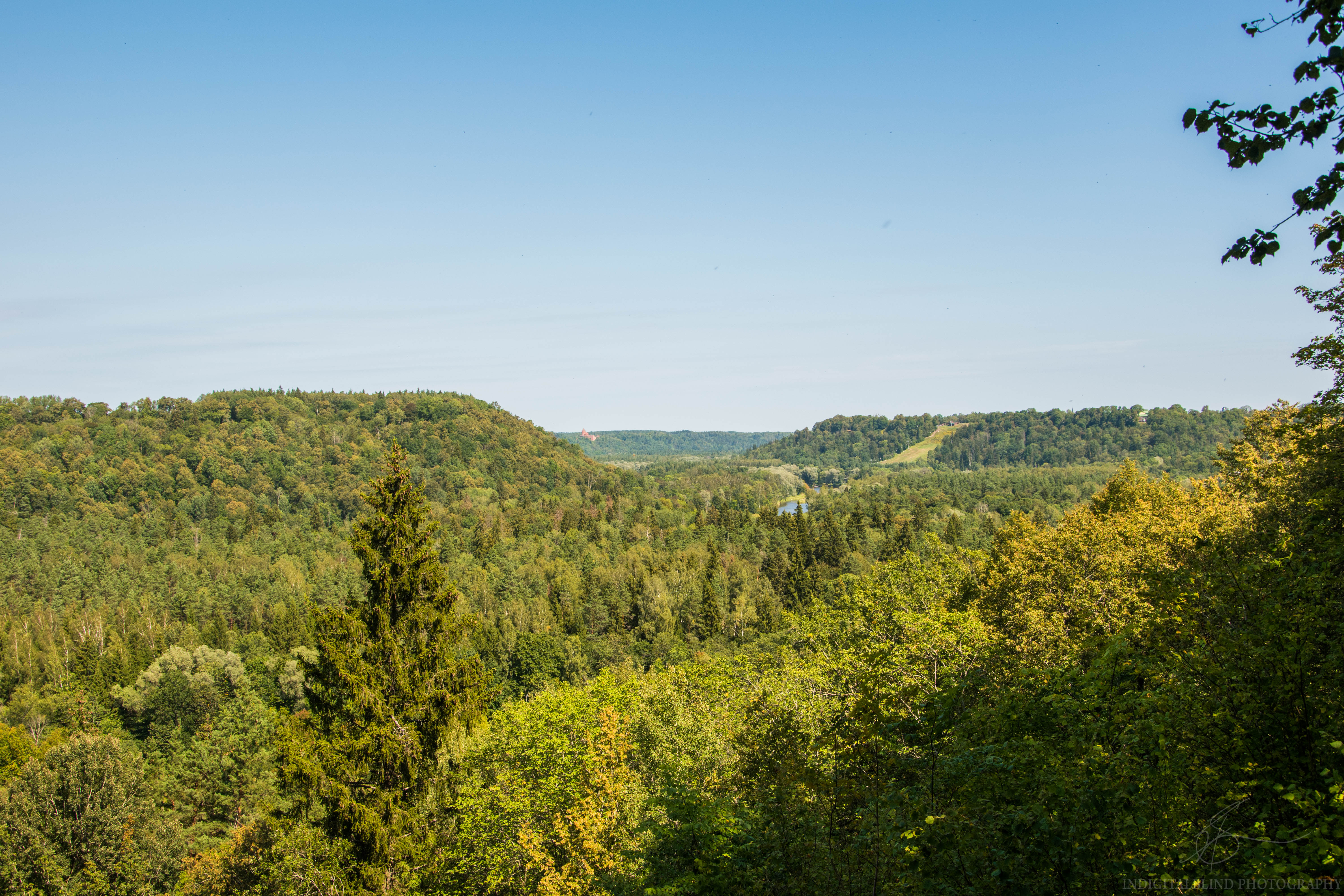 DSC_0061.jpg