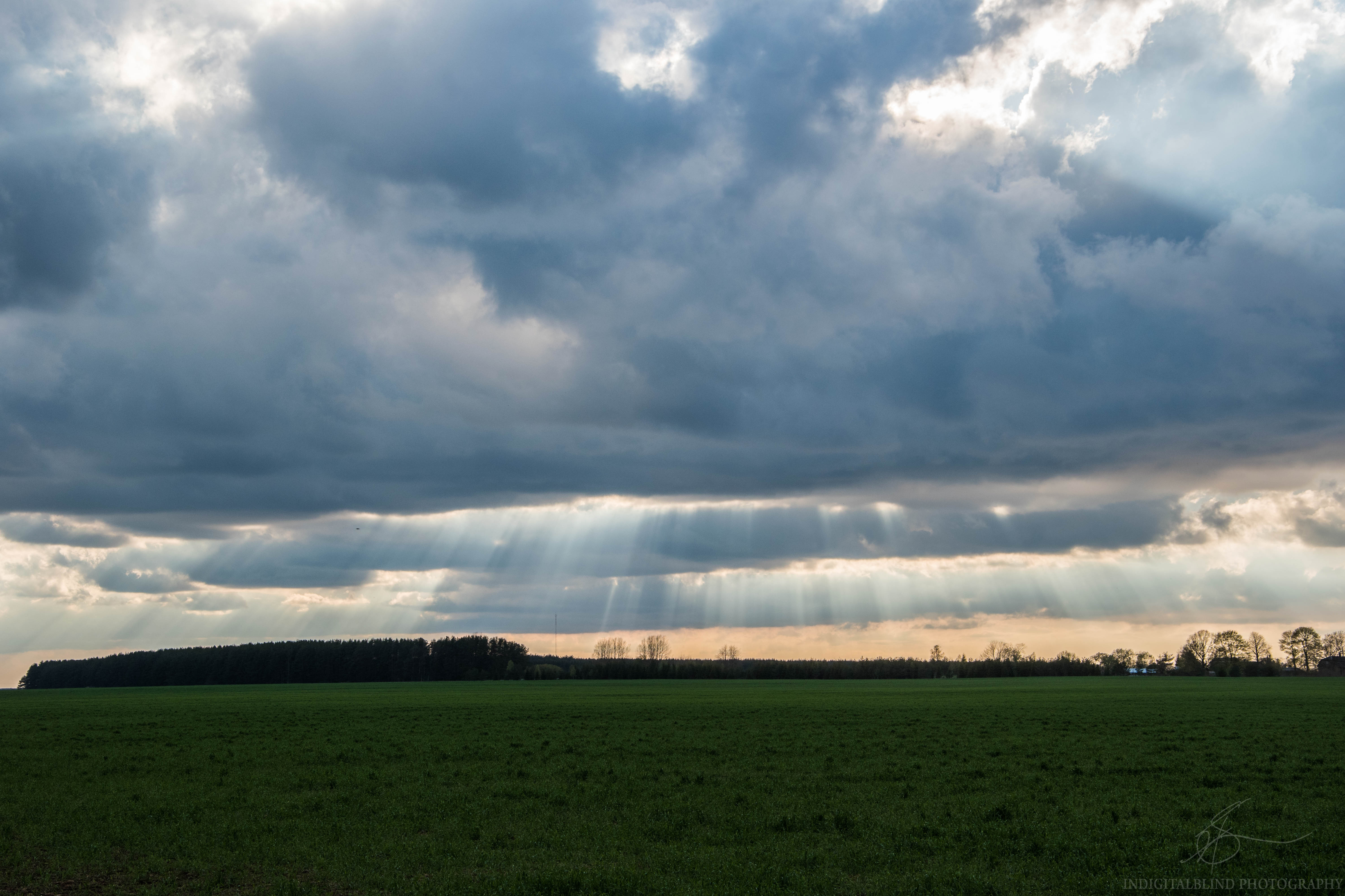 DSC_0421.jpg